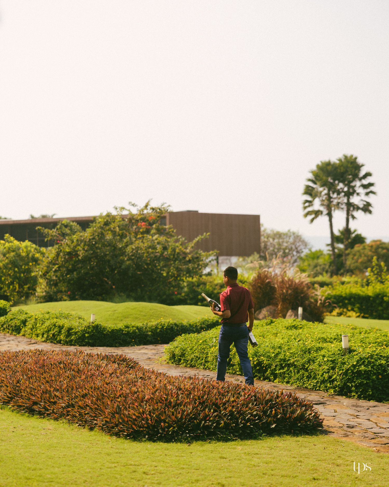 A man in a red shirt and jeans walks along a stone path through a manicured garden with lush shrubs, palm trees, and a modern building.