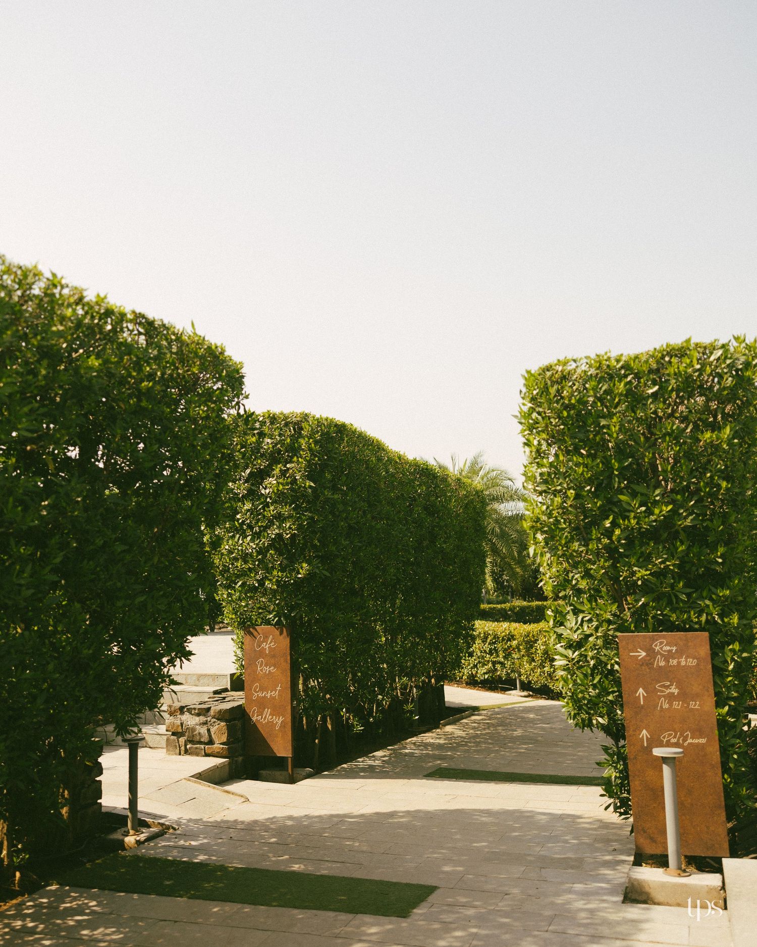 Tall manicured green hedges line a sunlit stone pathway, with rustic wooden directional signs and a palm tree under a pale sky.