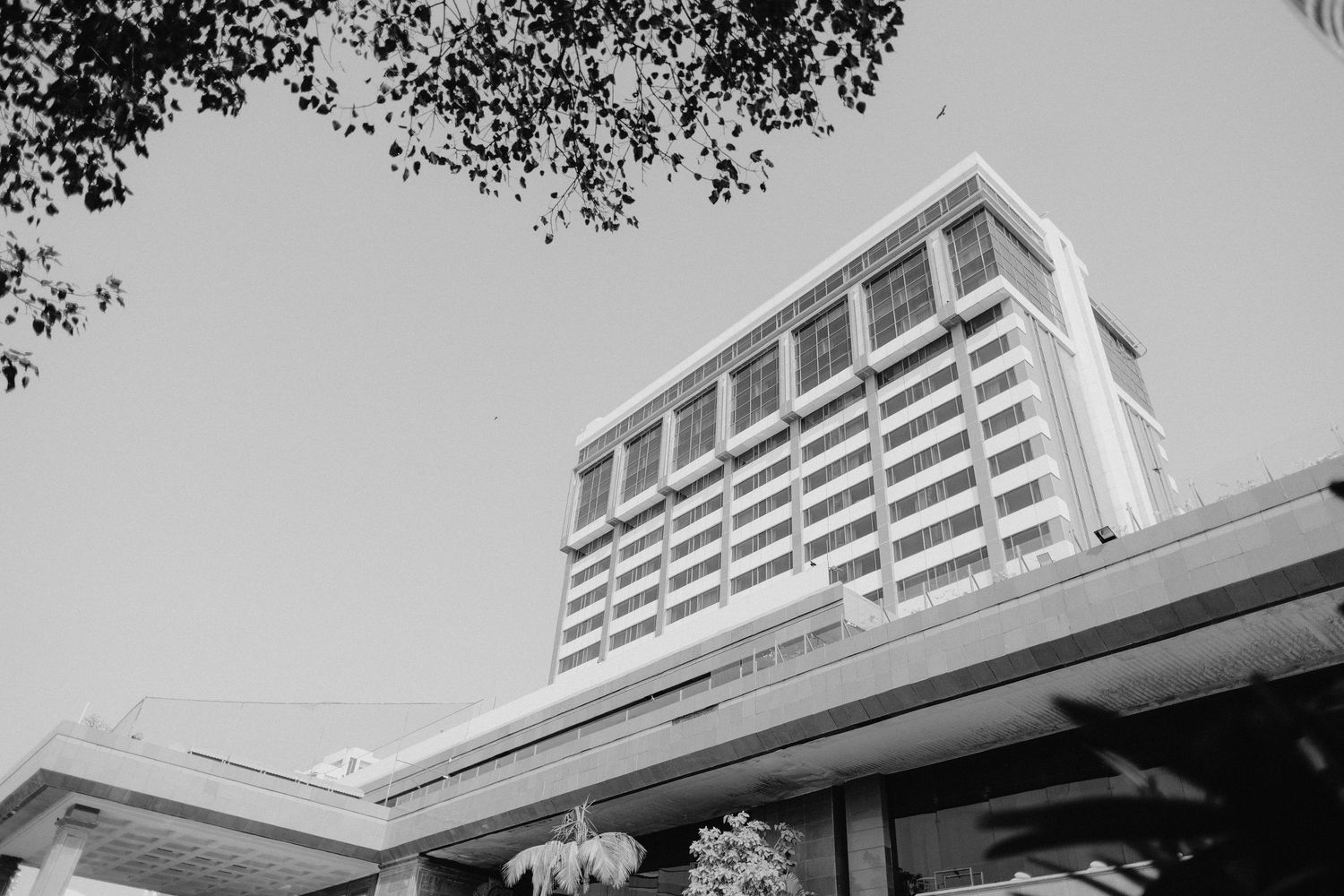 Black and white photo of a modern multi-story building viewed from below, framed by tree branches against a clear sky.
