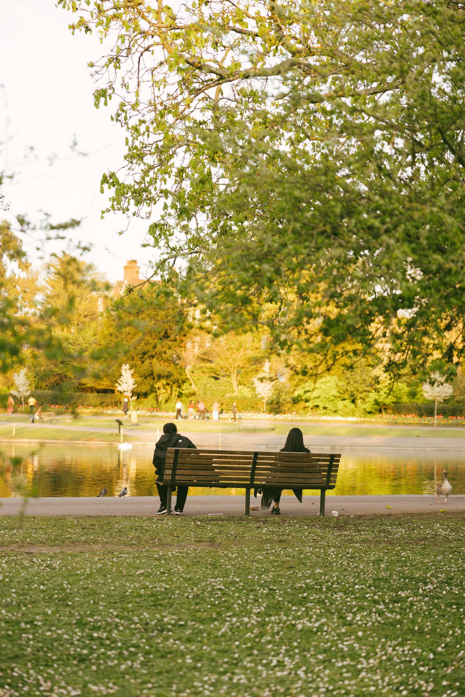 Two people sitting on a park bench by a tranquil pond surrounded by autumn trees in golden light.