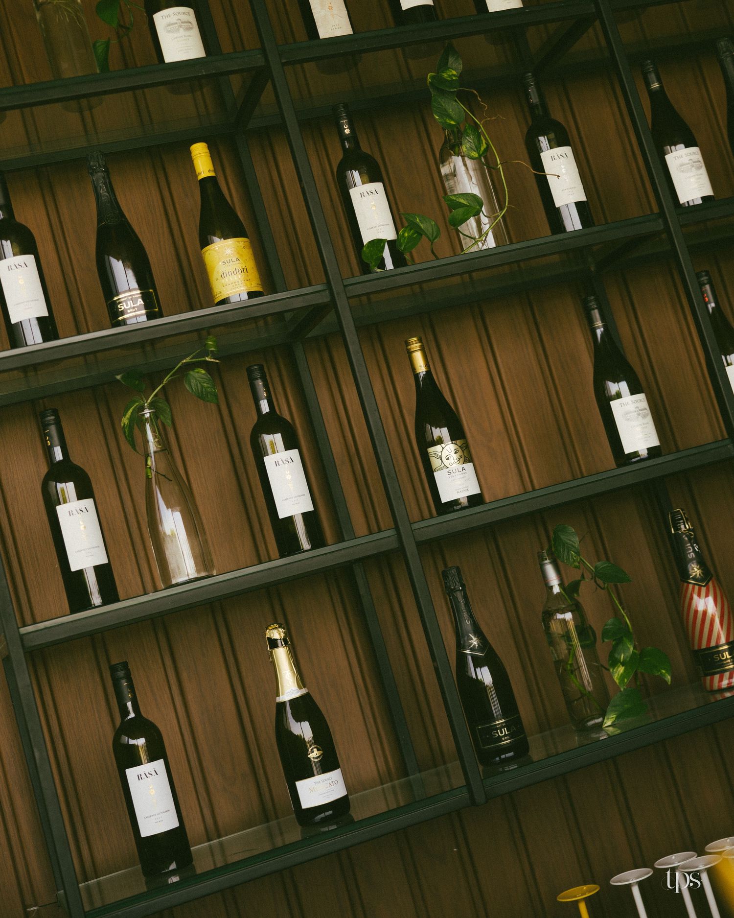 Wine bottles displayed on black metal shelves against a dark wooden wall, with small green plants in glass vases adding a fresh accent.