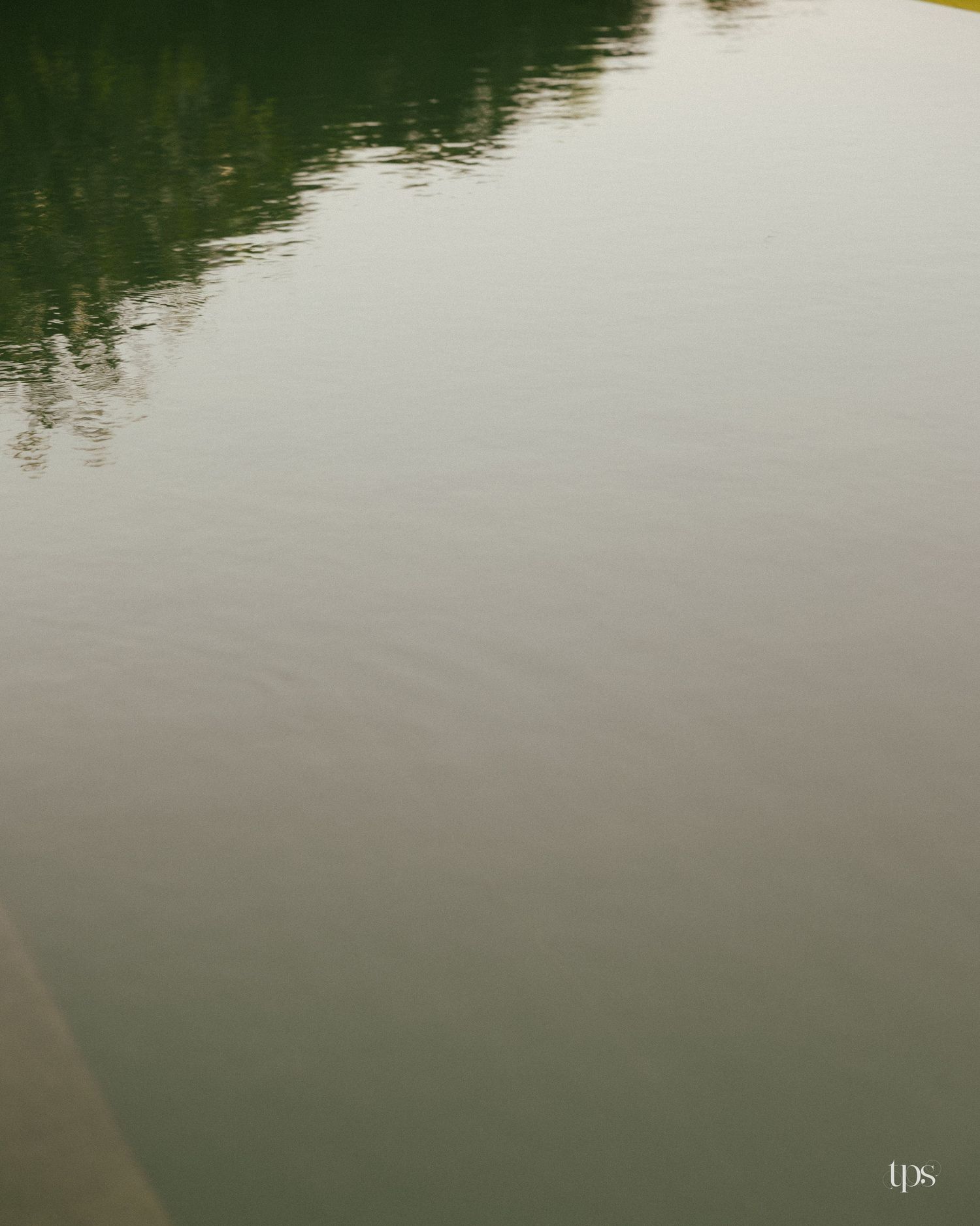Calm pond with smooth, muted green water reflecting dark trees along the shoreline in soft, hazy light.