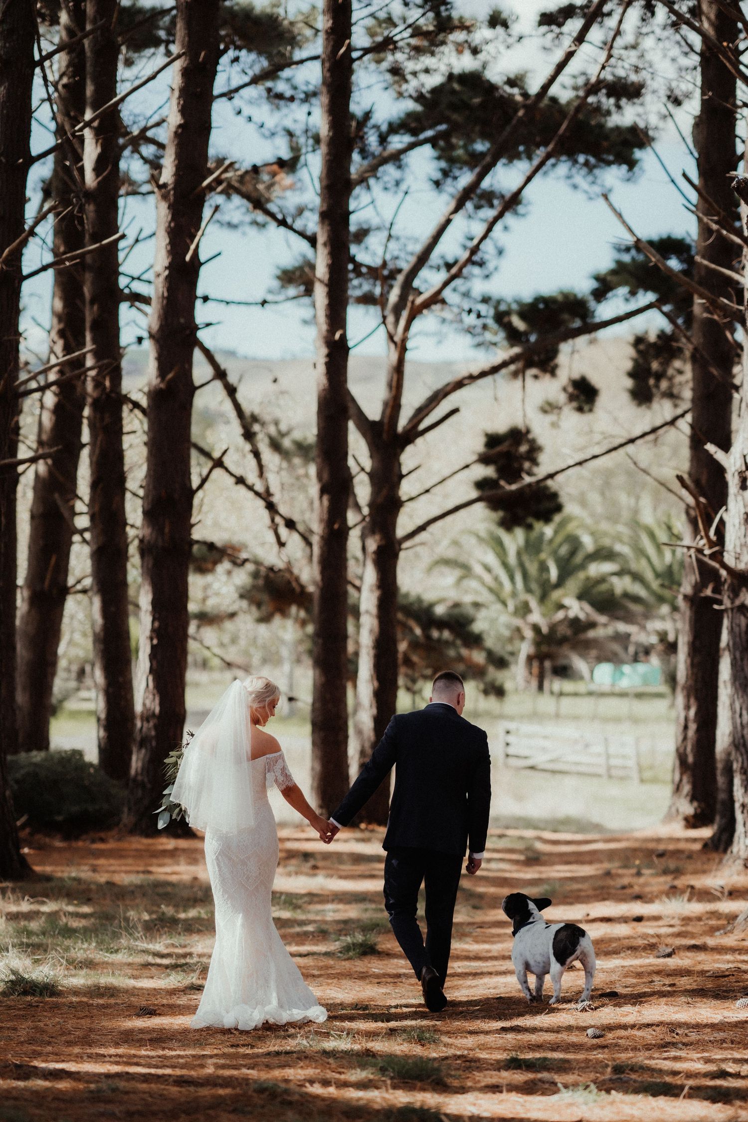 Bride in a lace gown and veil walks hand in hand with her groom and a small black and white dog through a pine tree forest.