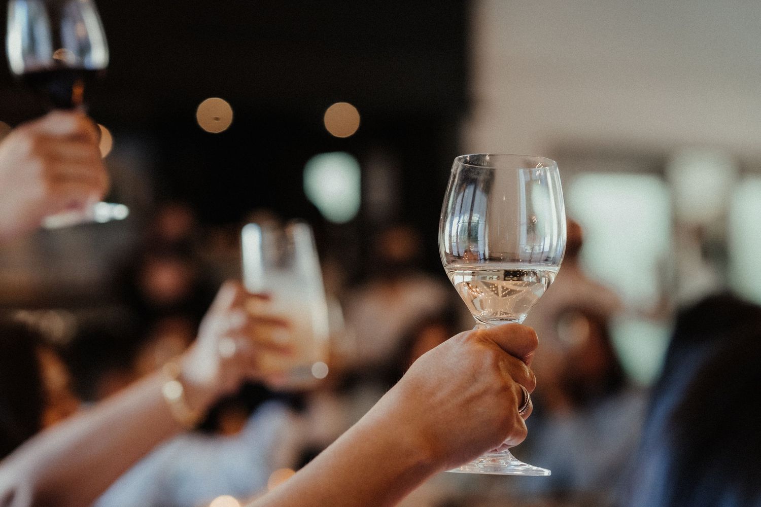 Guests raise wine glasses in a celebratory toast at a wedding reception with softly blurred lights in the background.