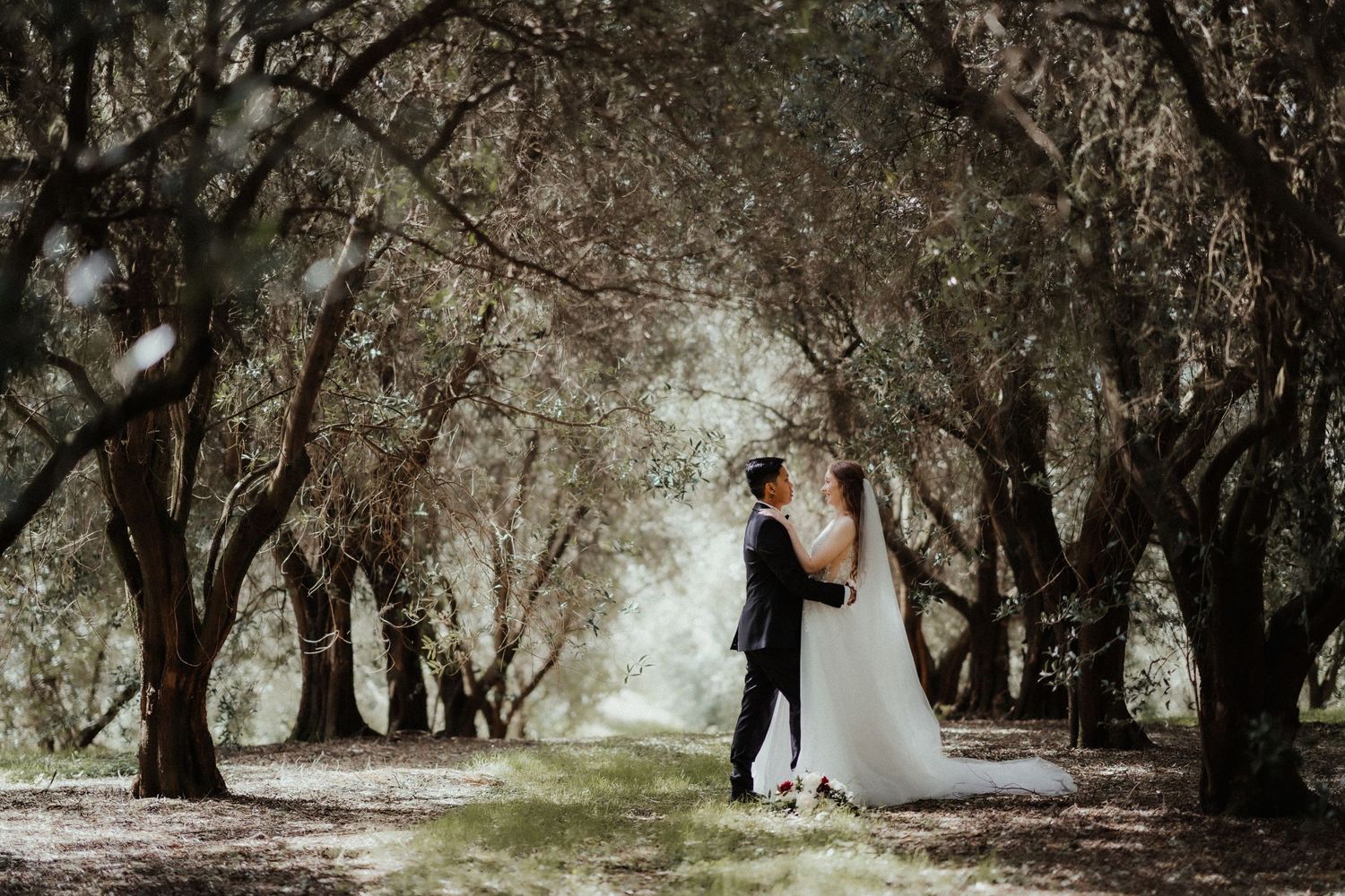 Bride and groom embrace on a grassy path beneath a canopy of olive trees in a romantic wedding portrait.
