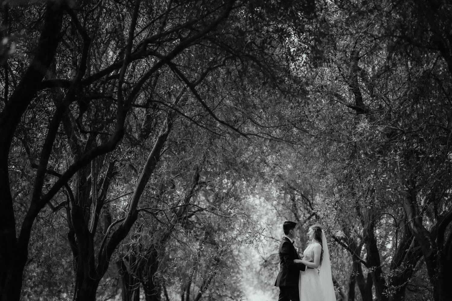 Black and white photo of a bride and groom standing together beneath a canopy of tall trees.