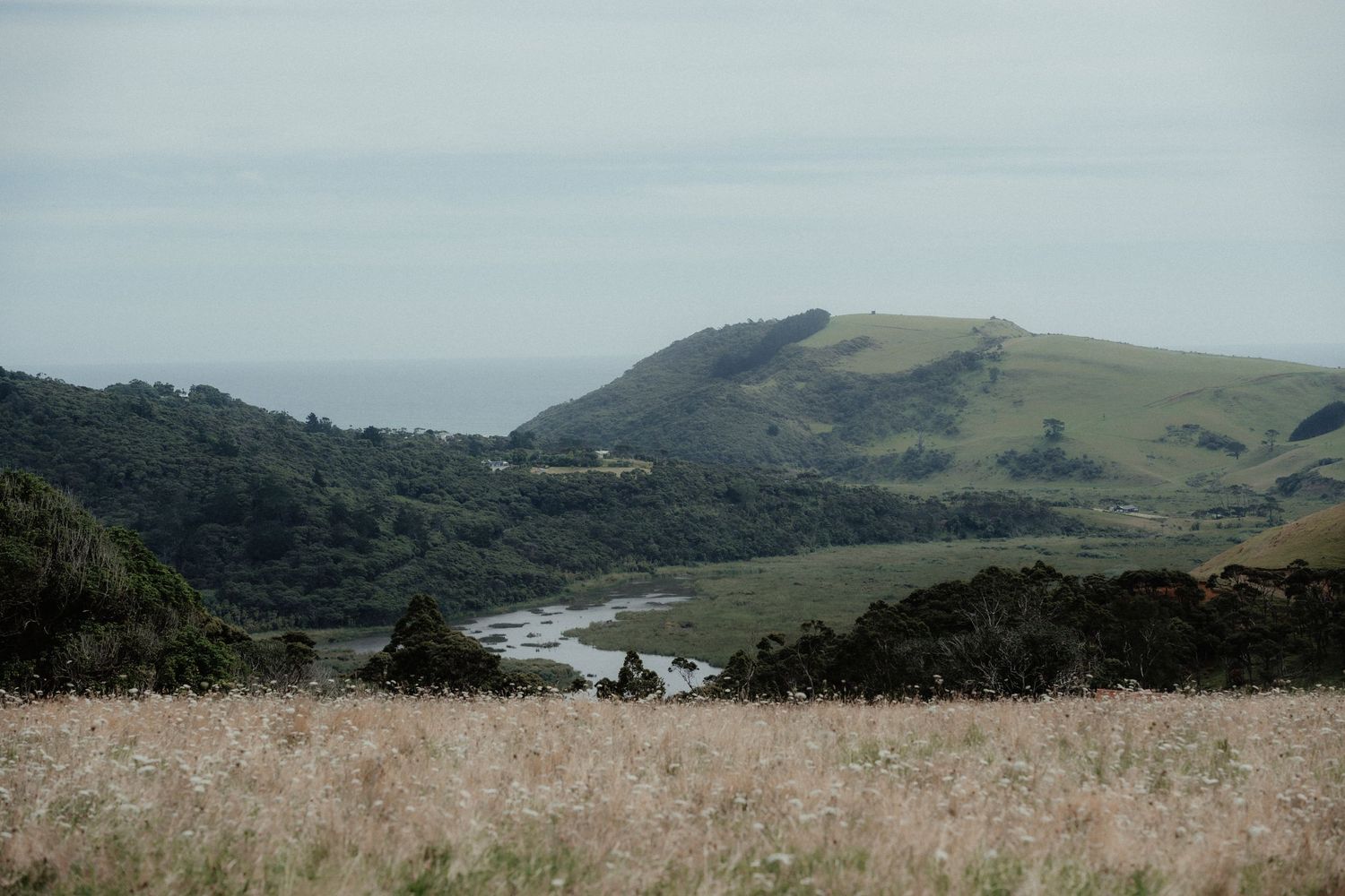 Scenic view of green coastal hills, a winding river and golden grass in a wedding location.