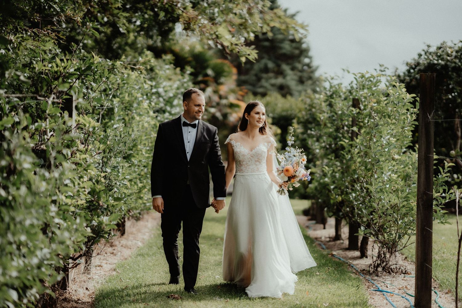 Bride in a lace wedding gown and groom in a dark suit hold hands while walking through a leafy vineyard path.