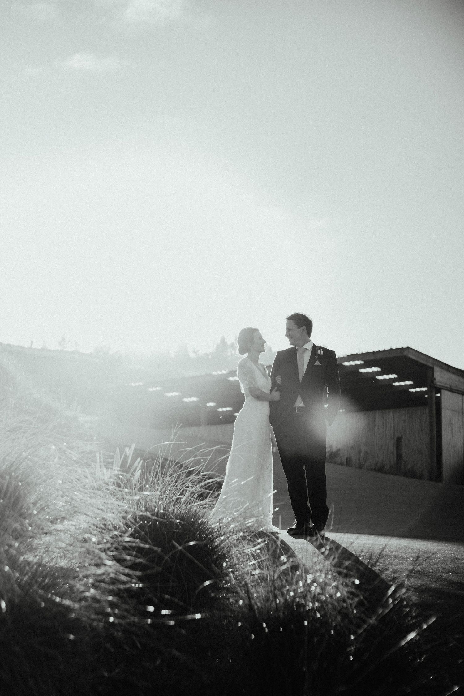 Black and white photo of a wedding couple gazing at each other near tall grasses with bright sun flare and a barn behind.