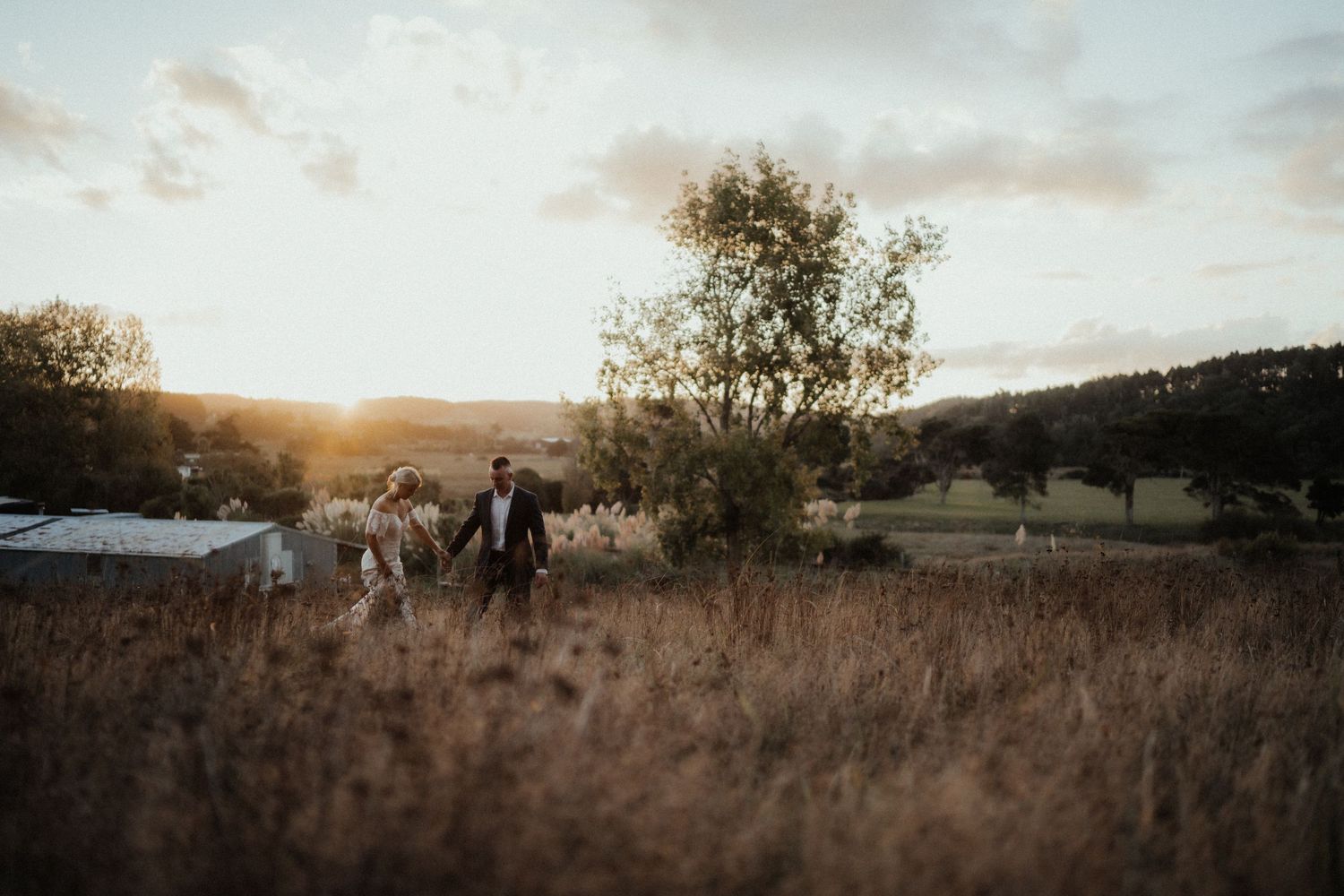 Bride and groom hold hands while walking through golden grass at sunset in a scenic countryside wedding portrait.