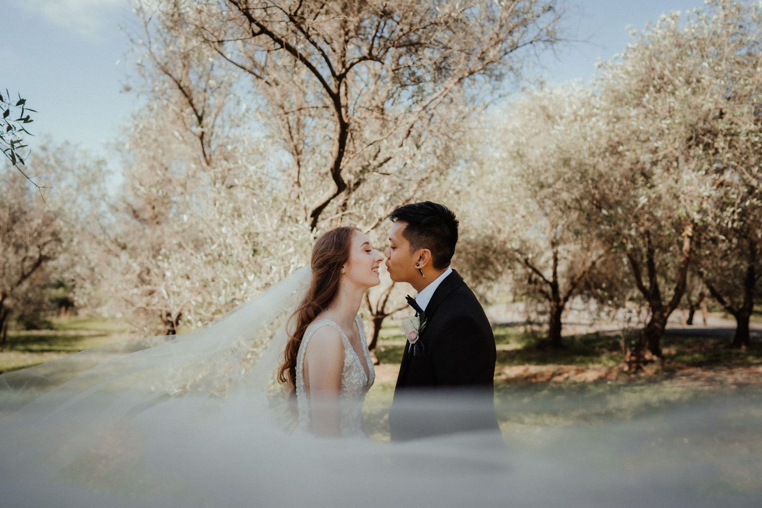 Bride and groom share an intimate moment nose to nose behind a sheer veil in an olive orchard on their wedding day.
