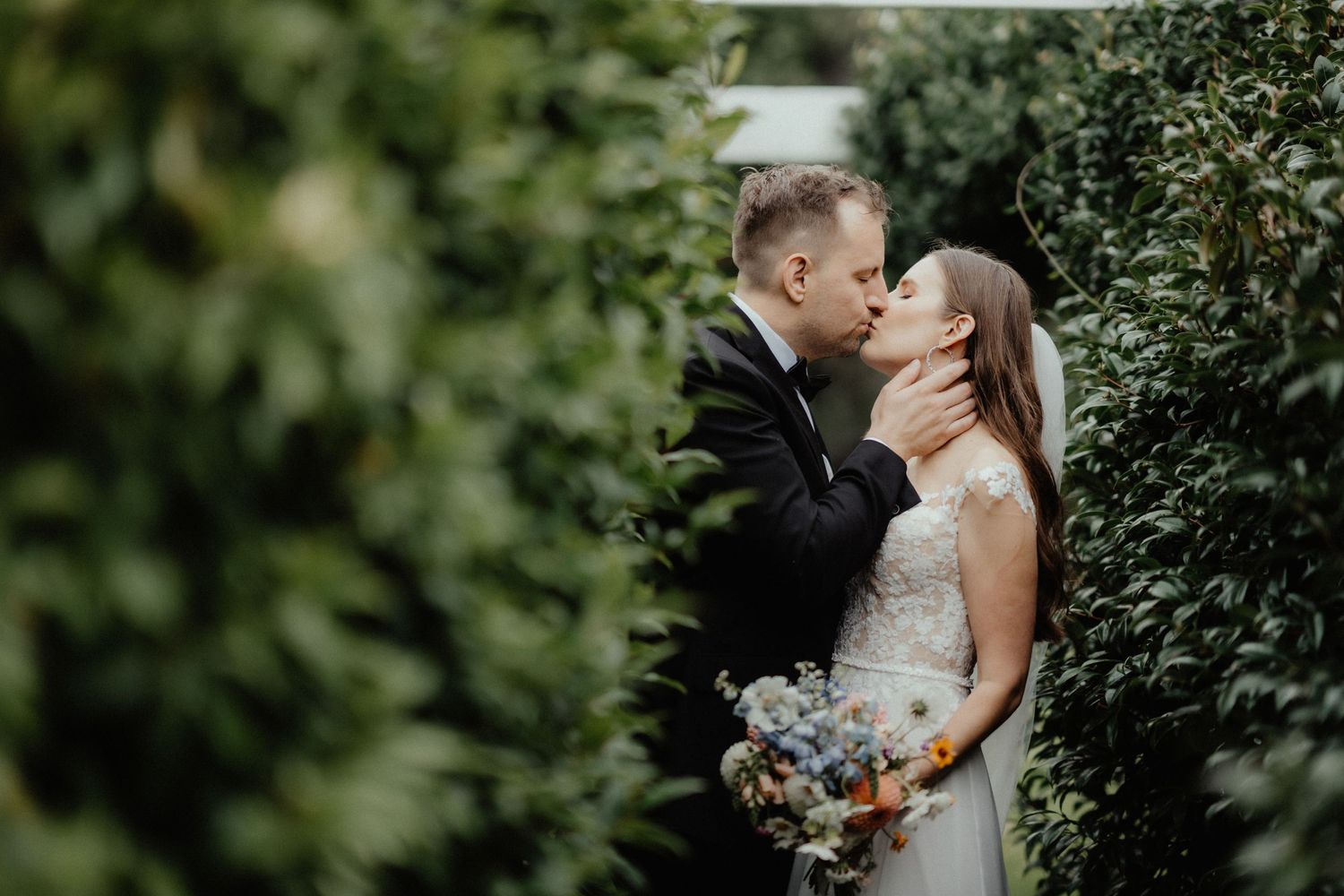 Groom in black suit kisses the bride in a lace gown holding a bouquet between lush green hedges.