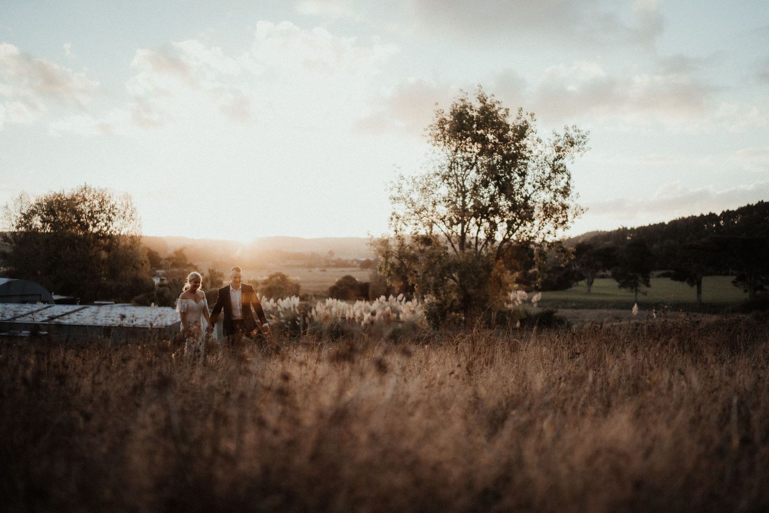 Wedding couple stands in a tall golden grass field at sunset with a lone tree and rolling countryside hills in the background.