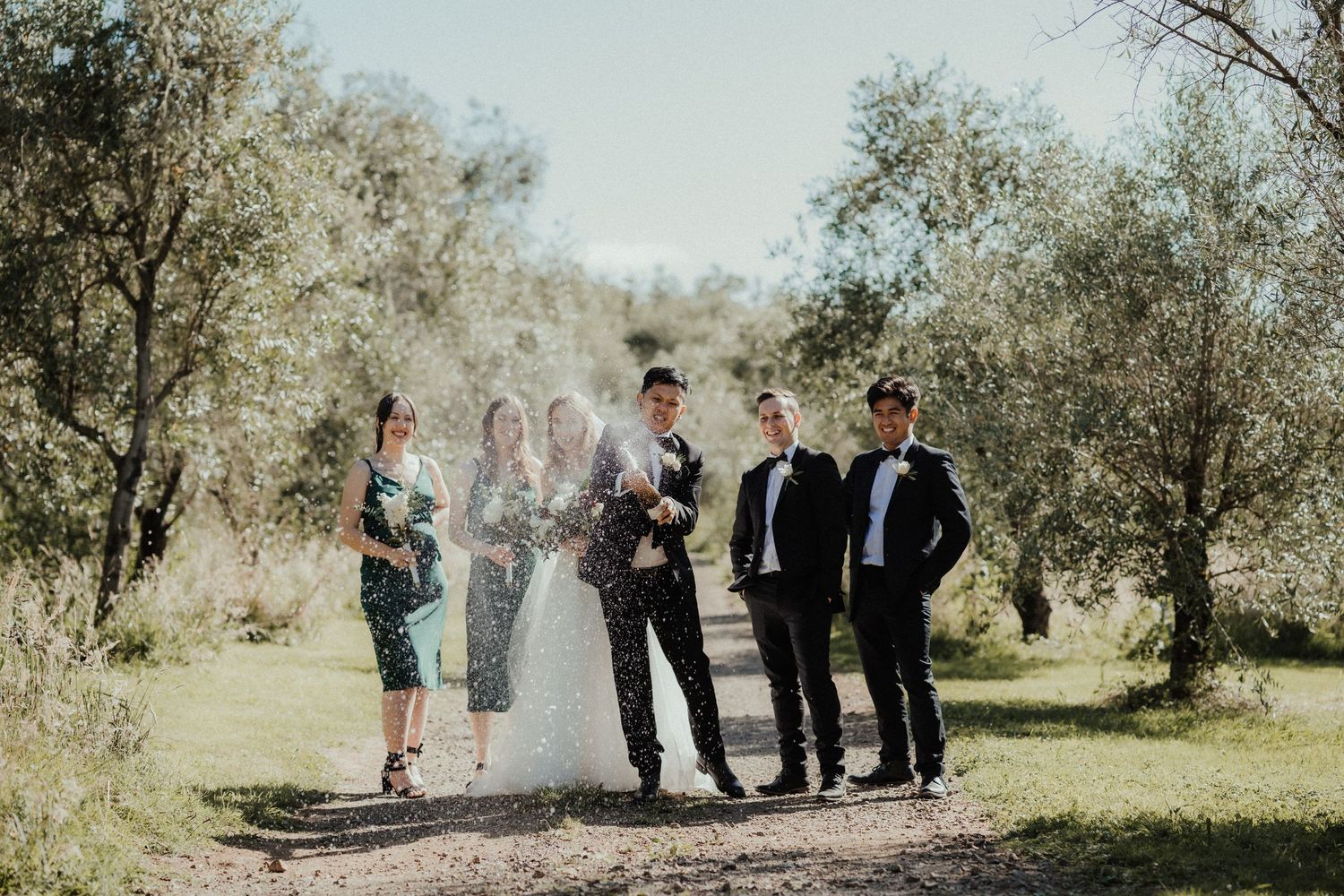 A wedding party poses on a dirt path in an olive grove, with the bride, groom, groomsmen and bridesmaids in green dresses.