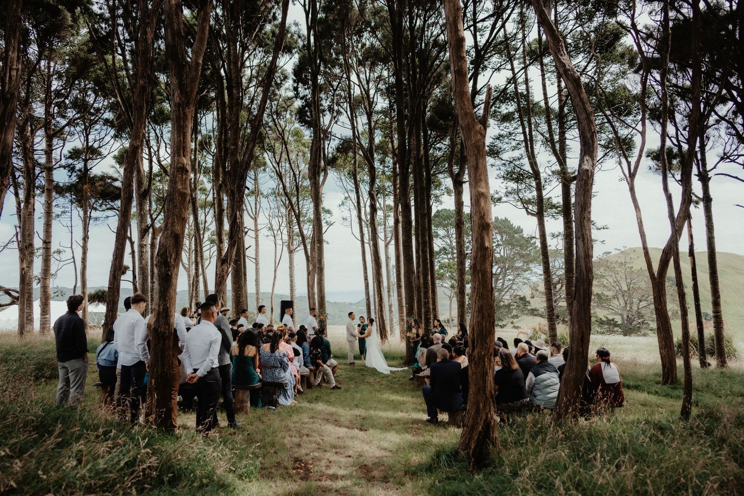 Wedding guests gather on grass beneath tall eucalyptus trees for an outdoor ceremony as the bride in white stands among the trunks.