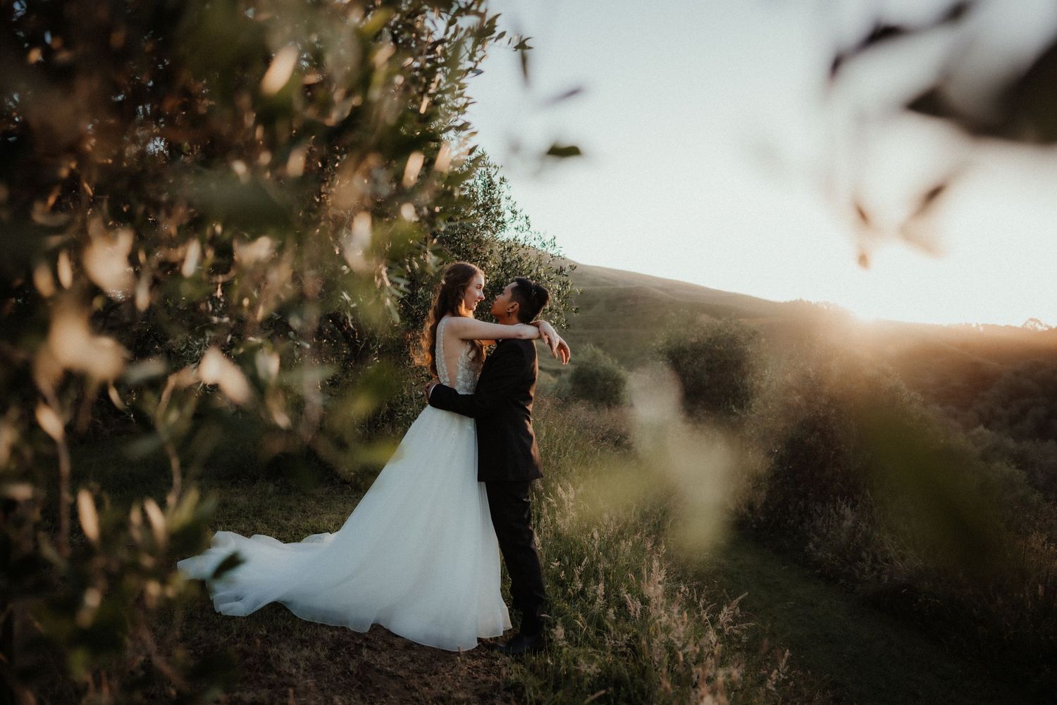 A bride in a flowing white gown and groom in a dark suit embrace at golden hour on a hillside framed by olive leaves.