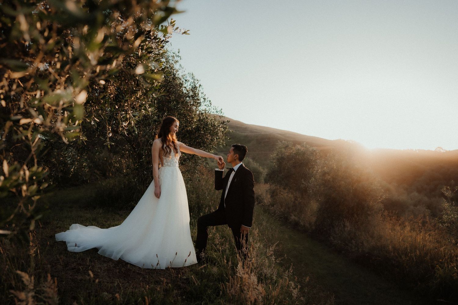 Groom kneels to kiss the hand of his bride in a white gown among olive trees at golden hour sunset.