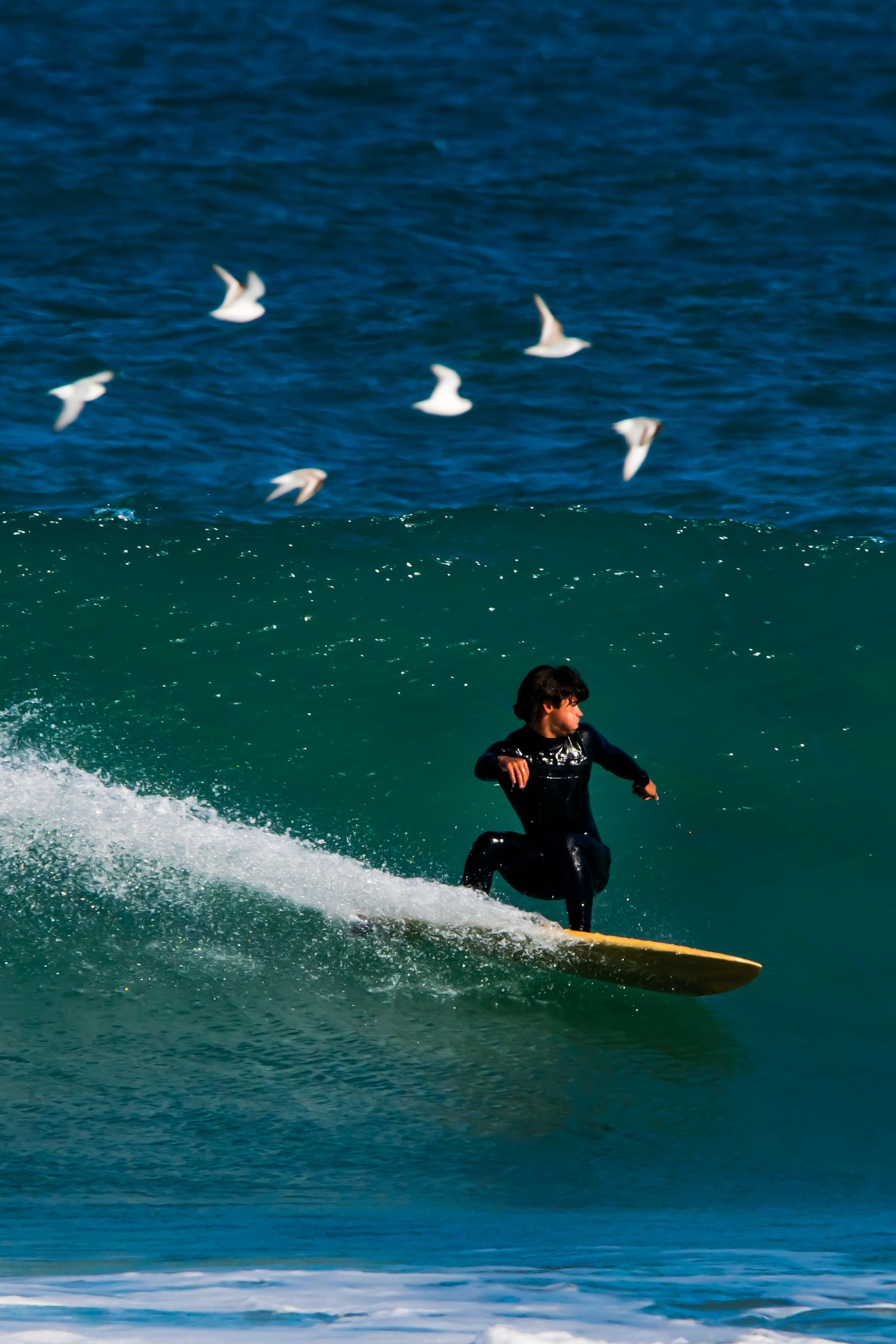 Surfer riding a wave with seabirds flying overhead during a surf photography session. Goodreau.co