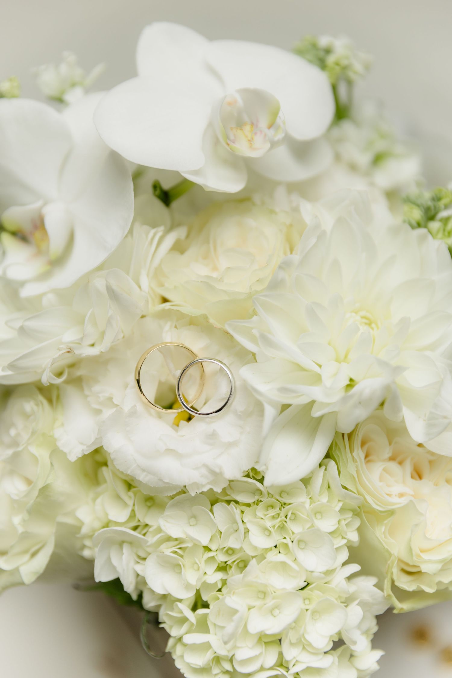 Two gold wedding rings resting on a lush white bridal bouquet of orchids, peonies, hydrangeas, and roses.