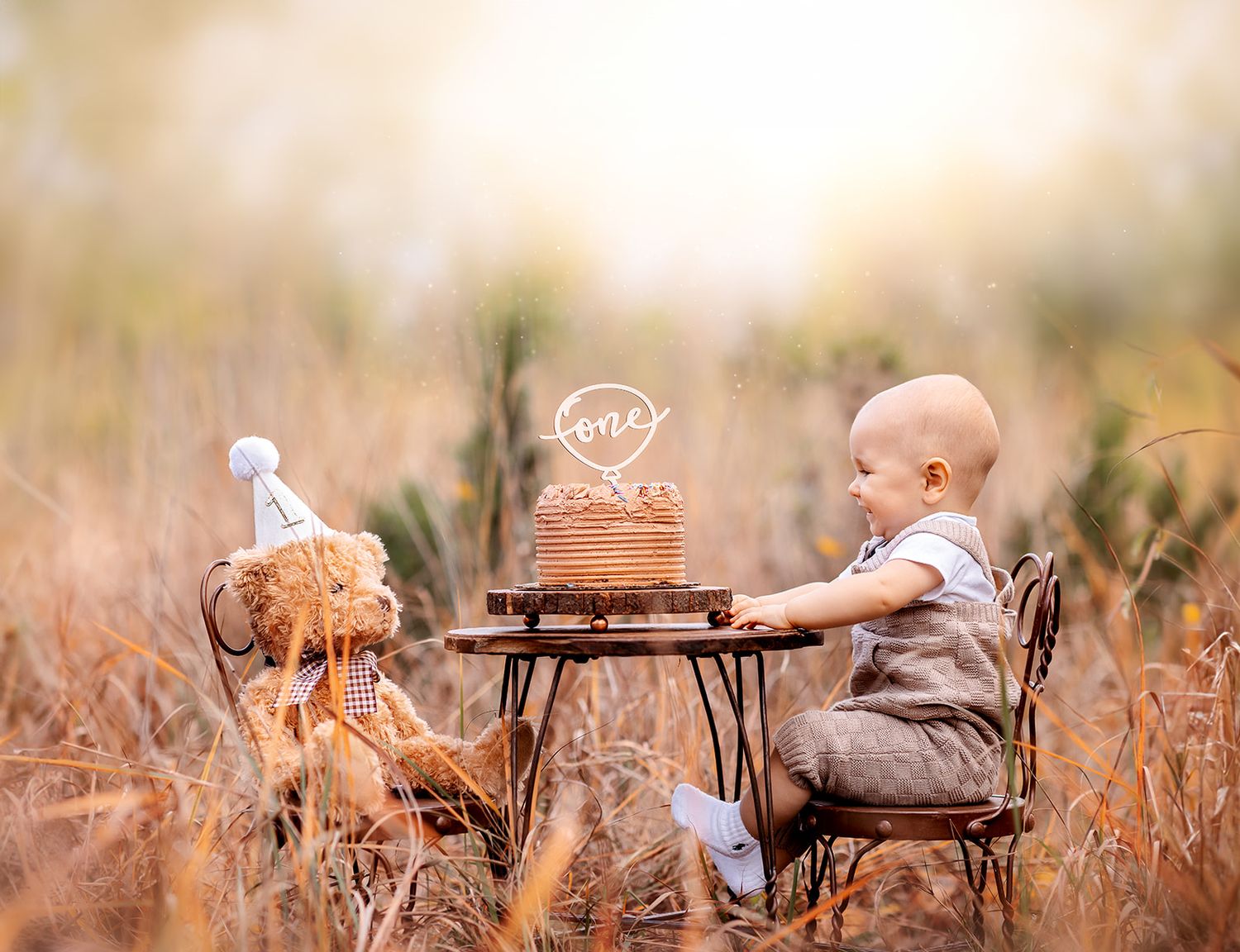 A toddler boy sits at a tiny table with a birthday cake and teddy bear in a golden field for his first birthday.