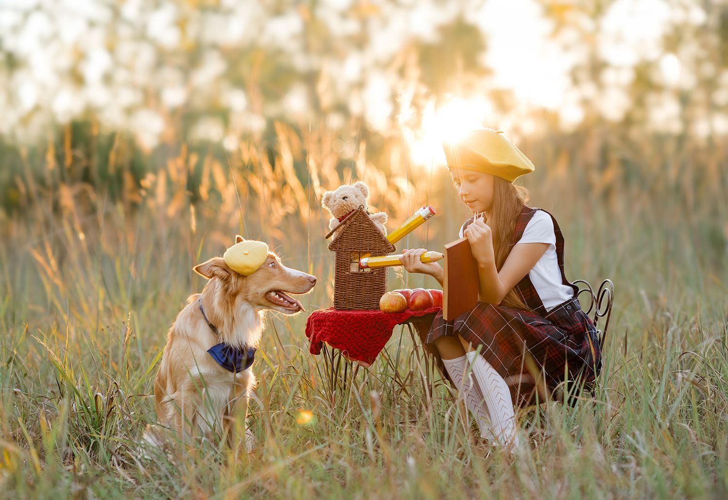 Girl in hat enjoys sunny field picnic with golden retriever dog and teddy bear in wicker basket at golden hour.