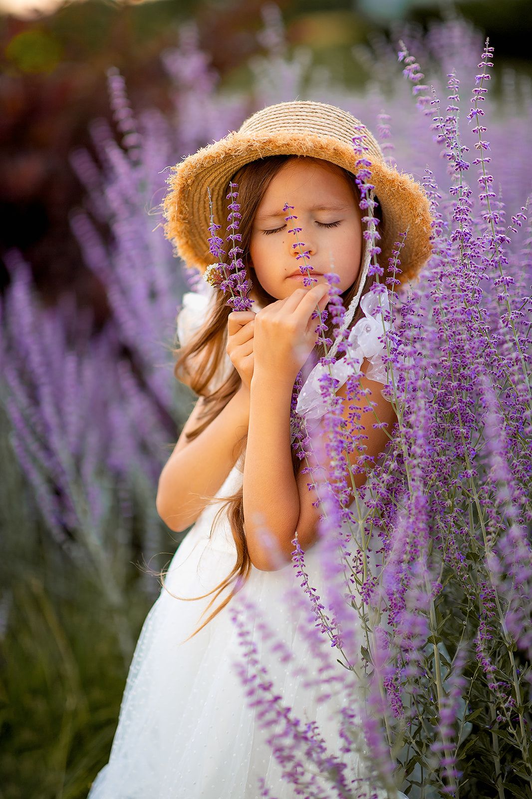 Young girl in straw hat and white dress smelling purple lavender flowers in a blooming field.