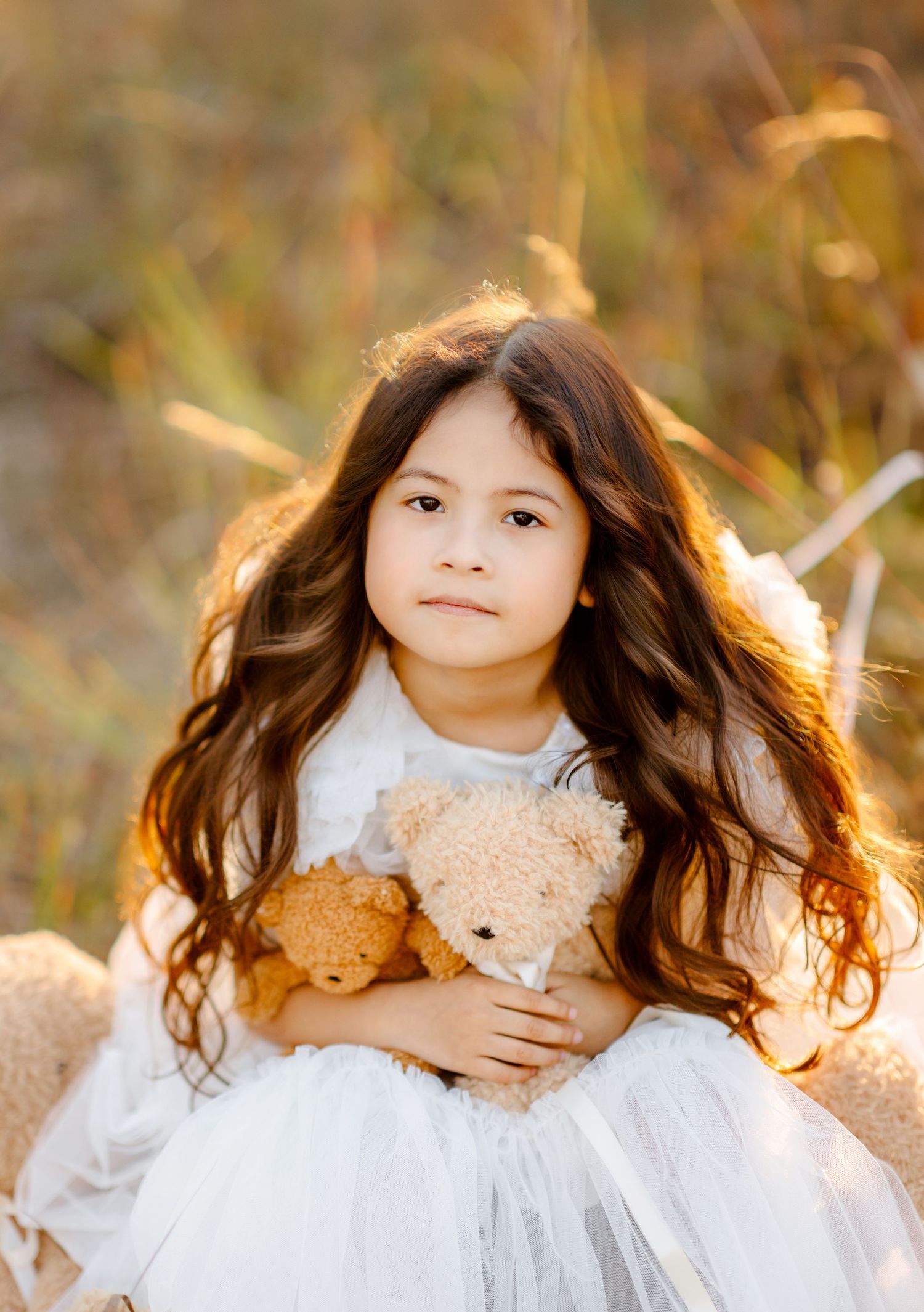 A young girl with long brown hair in a white tulle dress hugs a teddy bear outdoors in a golden field.
