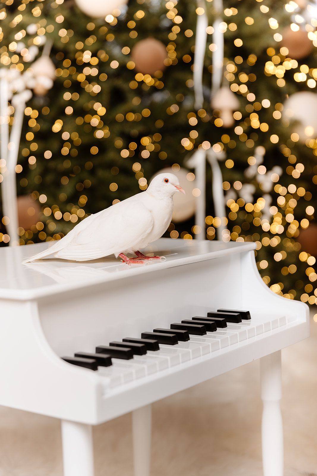 Two white doves perched on a white grand piano with black keys, in front of a glowing Christmas tree with gold bokeh lights.