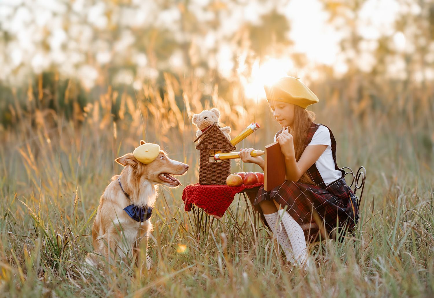 Girl in hat enjoys golden hour picnic with dog and teddy bear in sunny meadow.