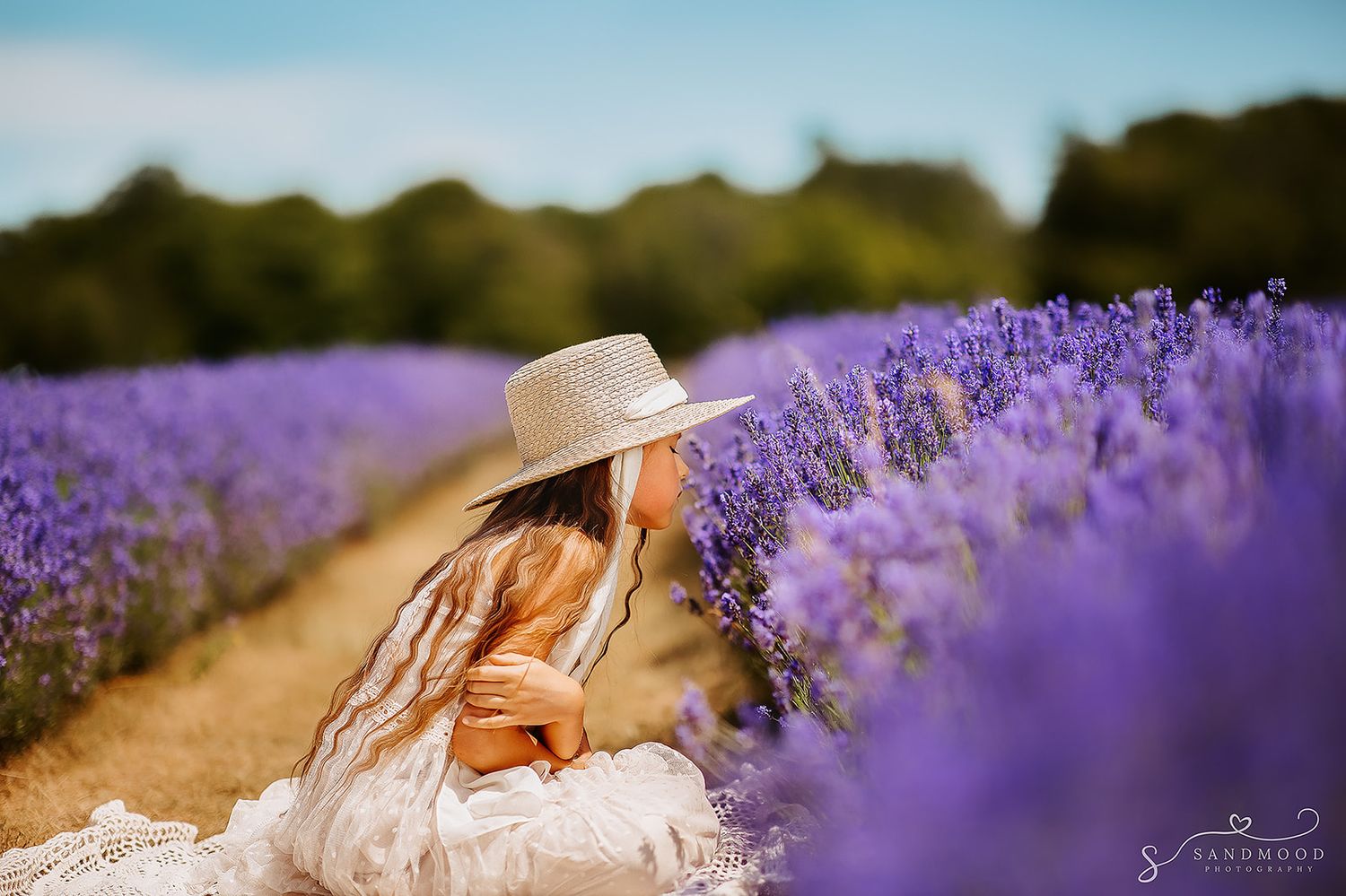 Girl in white dress and straw hat sitting among purple lavender fields on a sunny day.