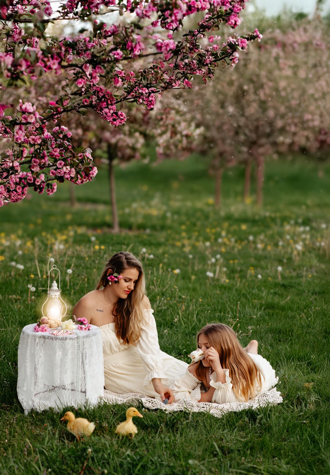 Woman and girl in white dresses enjoy a spring picnic under blooming pink cherry trees with ducklings nearby.