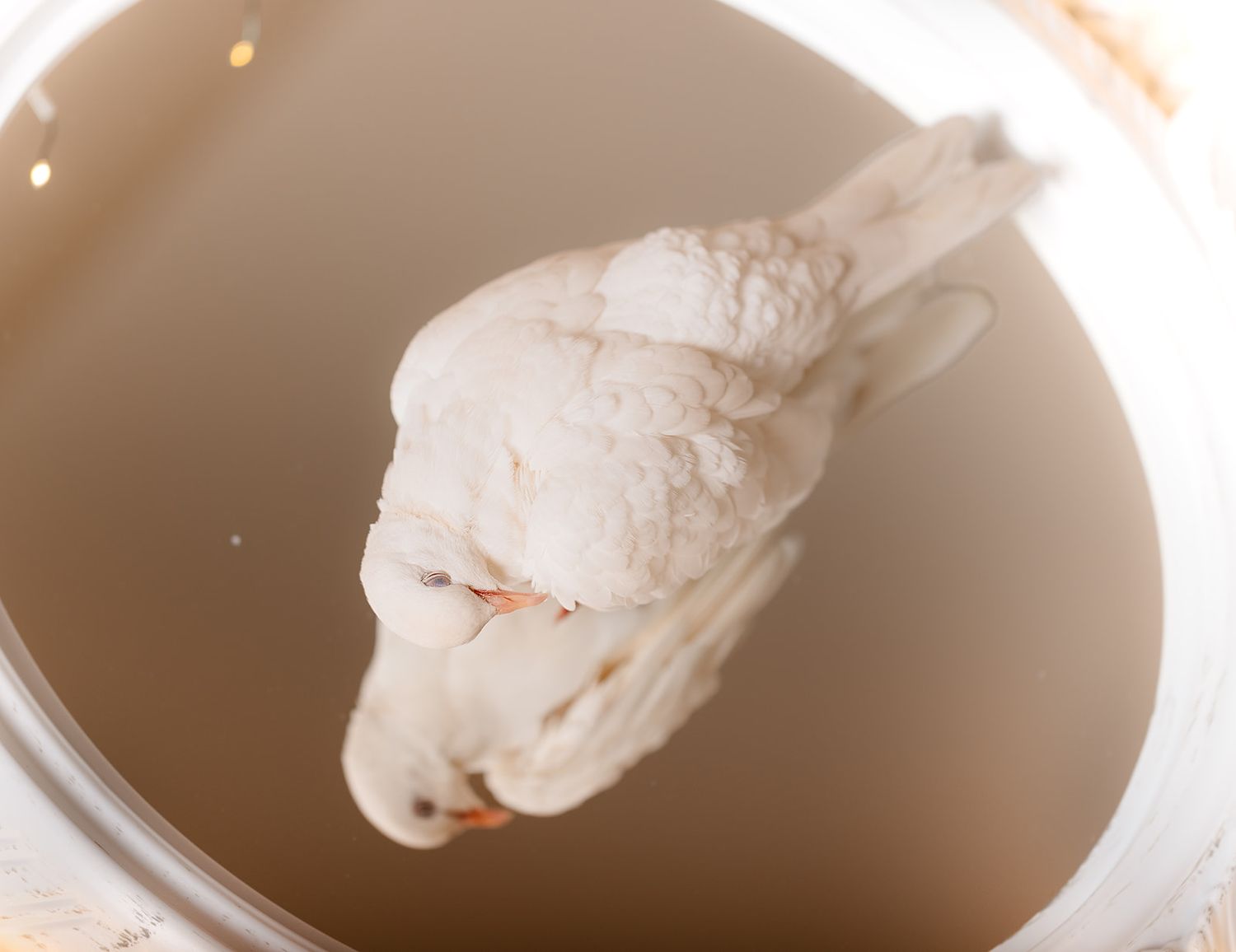 Raw whole chicken soaking in a bowl of water brine for marinating or thawing preparation.