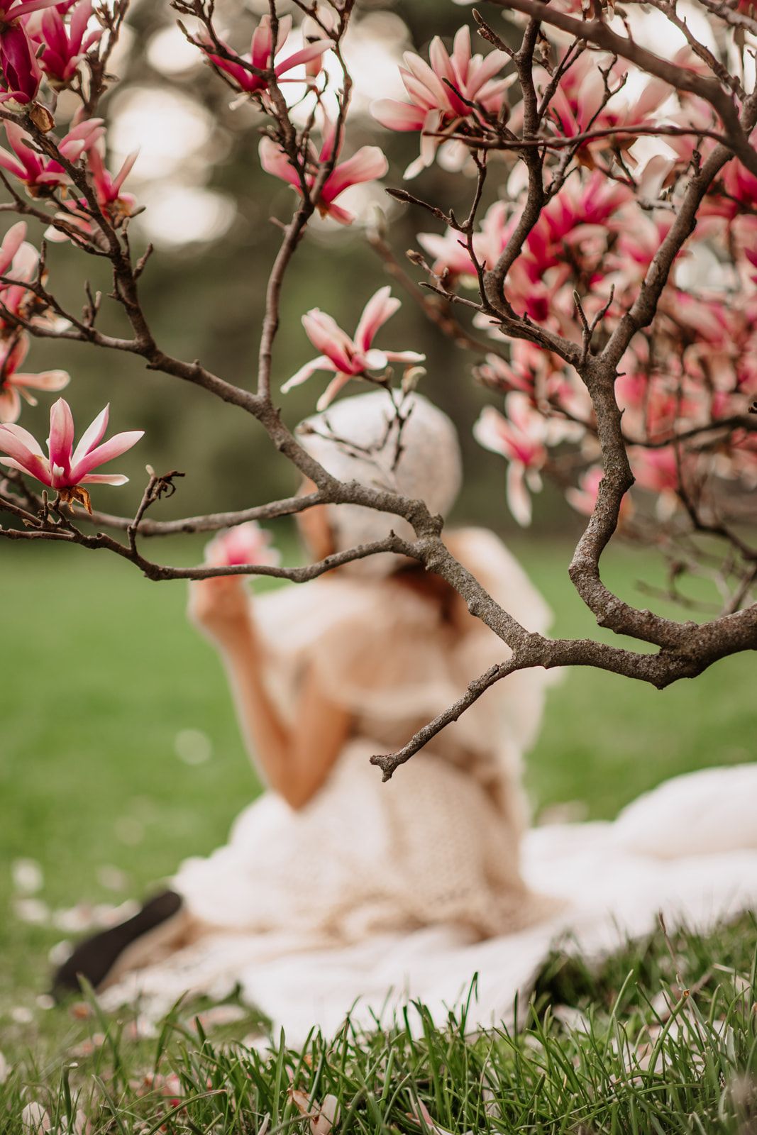 Woman in a white hat sitting on a blanket in grass, framed by blooming pink magnolia tree branches.