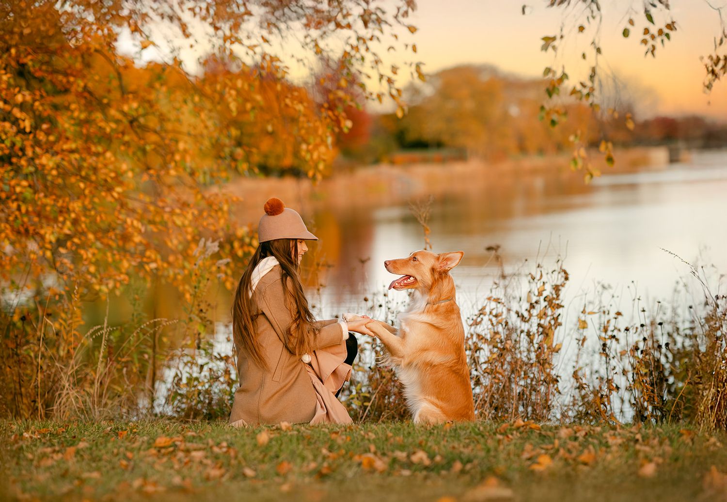 A woman in a beige coat and hat sits by an autumn lake, interacting with a golden Corgi dog outdoors.
