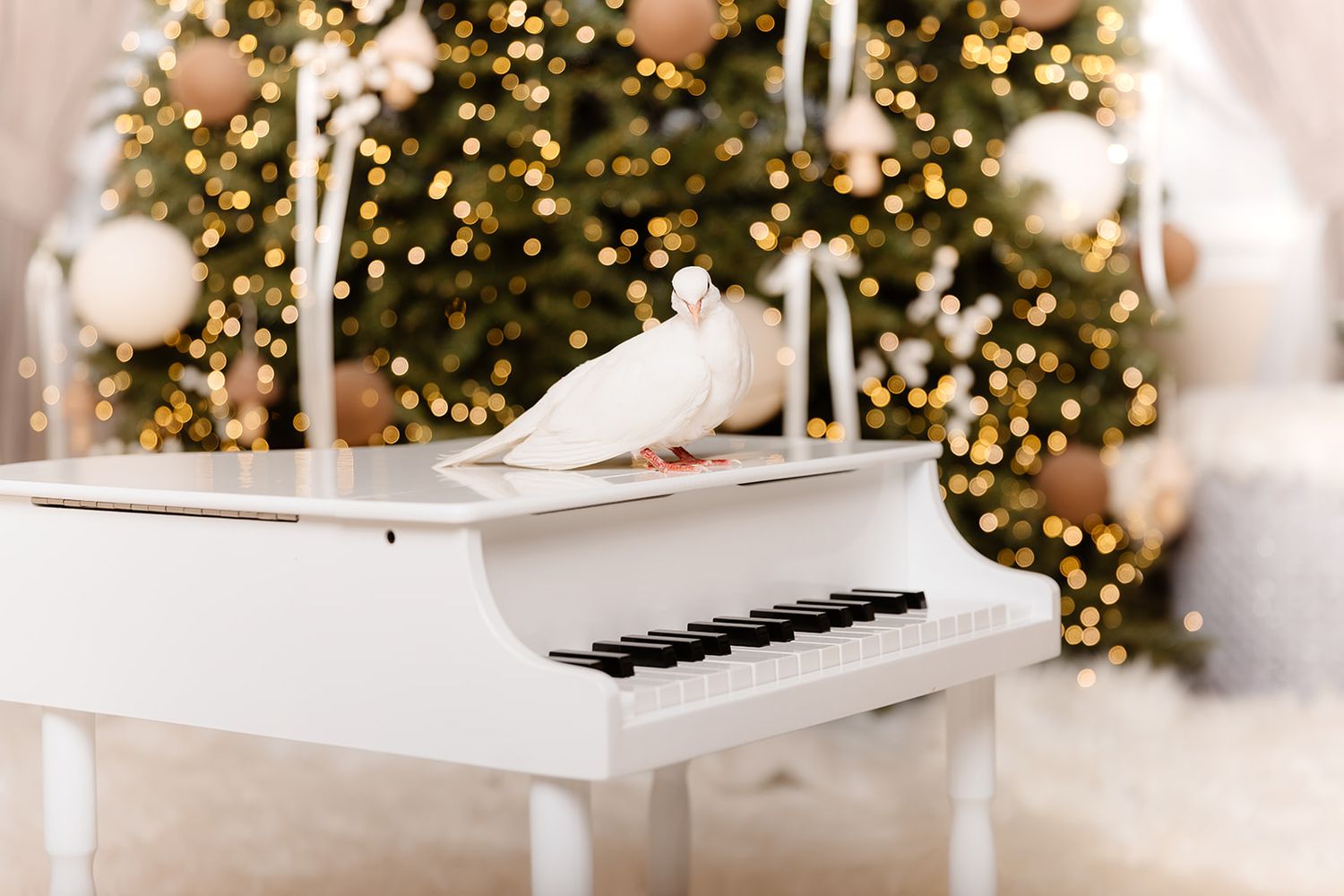White dove perched on a white baby grand piano near a decorated Christmas tree with warm golden bokeh lights.