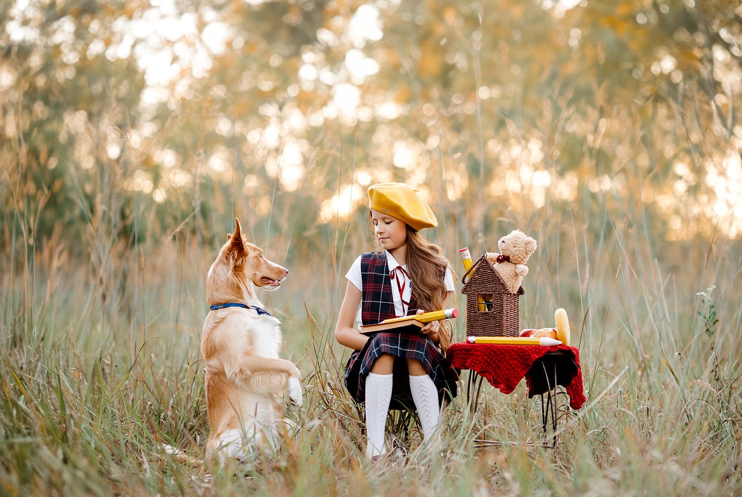 Girl in yellow hat having a teddy bear tea party in a field with her dog on a sunny autumn day.