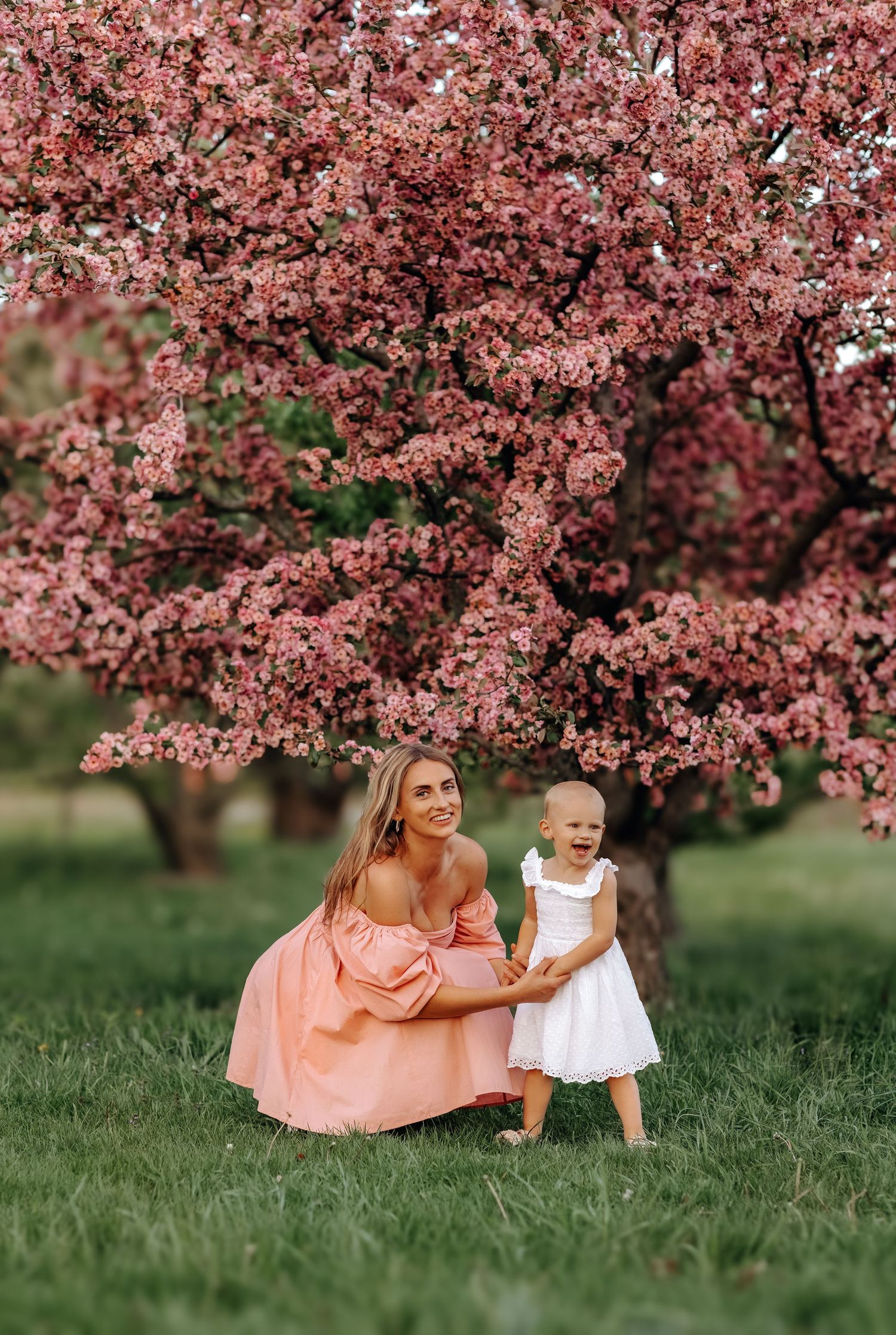 Mother in pink dress crouching with toddler in white dress under blooming pink cherry blossom tree on green grass.