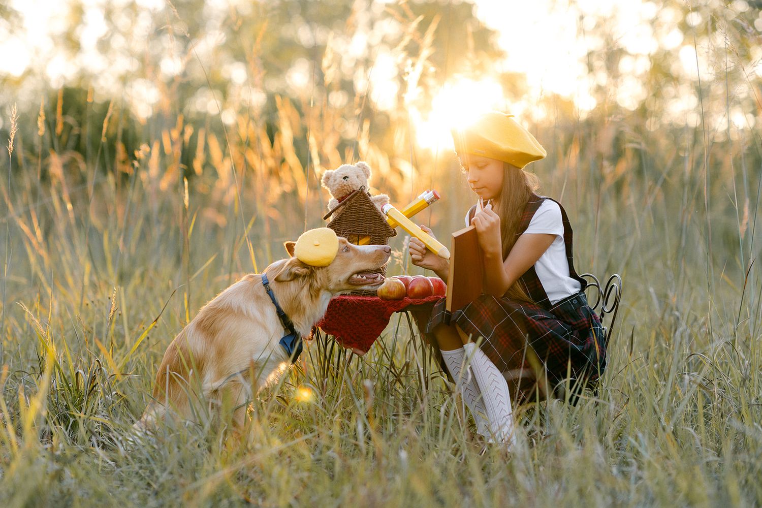 Girl in hat having a teddy bear tea party with her dog in a golden sunlit field at sunset.