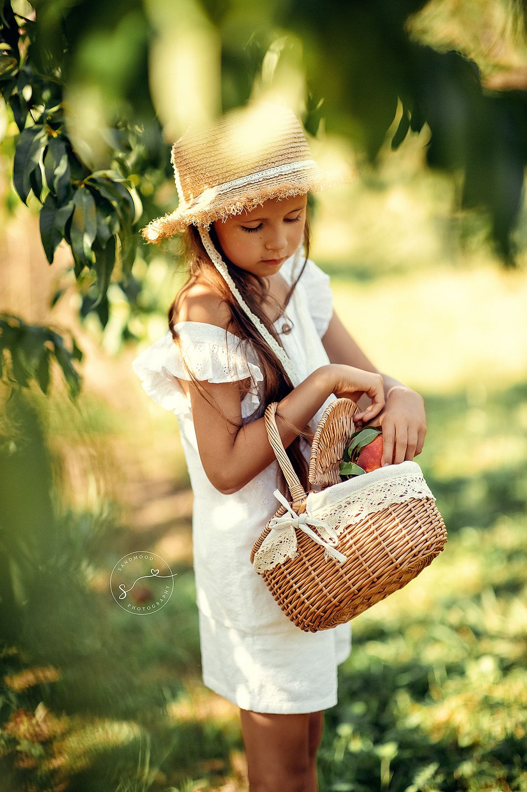 Little girl in white dress and straw hat picking fruit into wicker basket in sunny orchard.