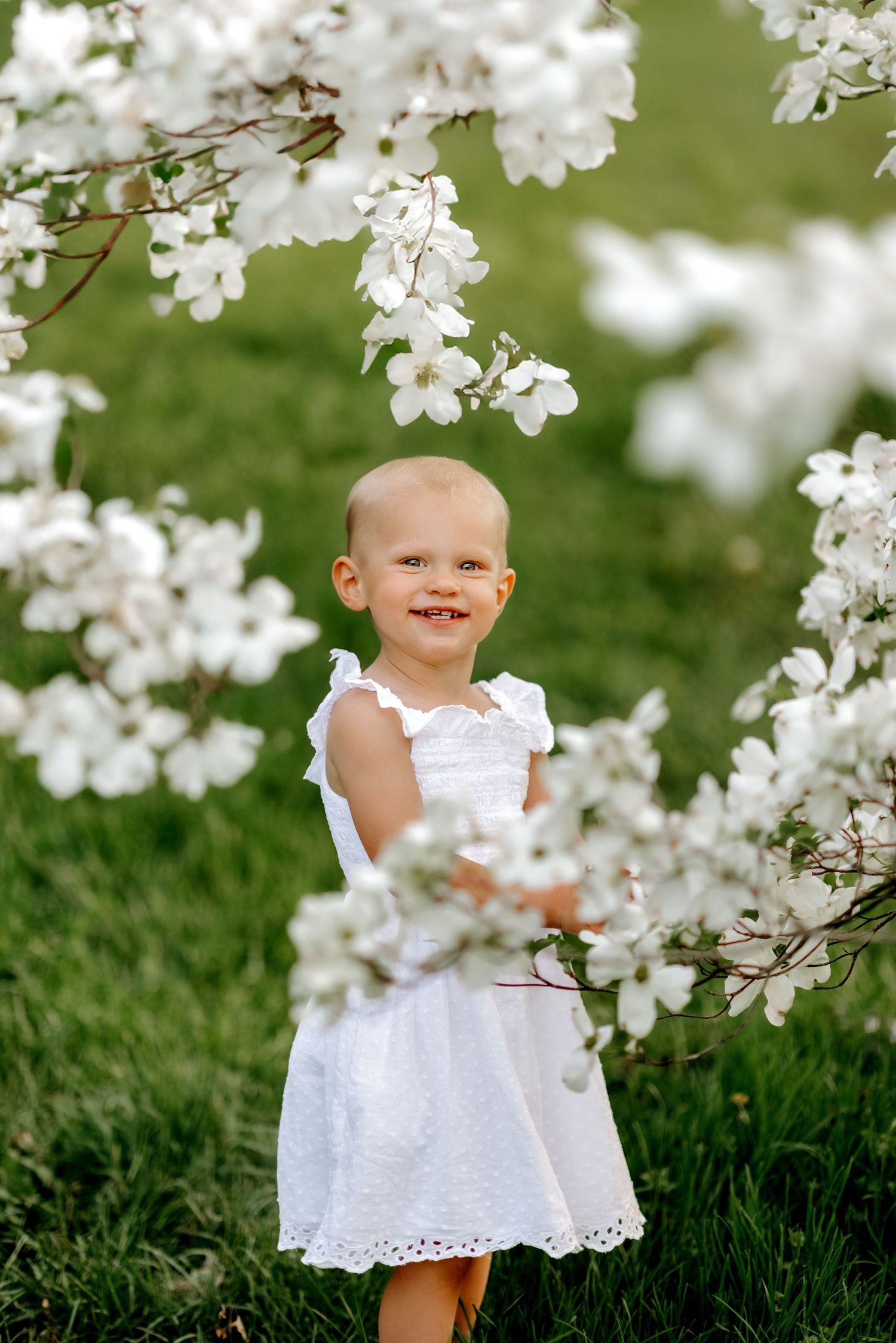 Cute smiling toddler girl in white dress standing among white flowering spring tree branches.