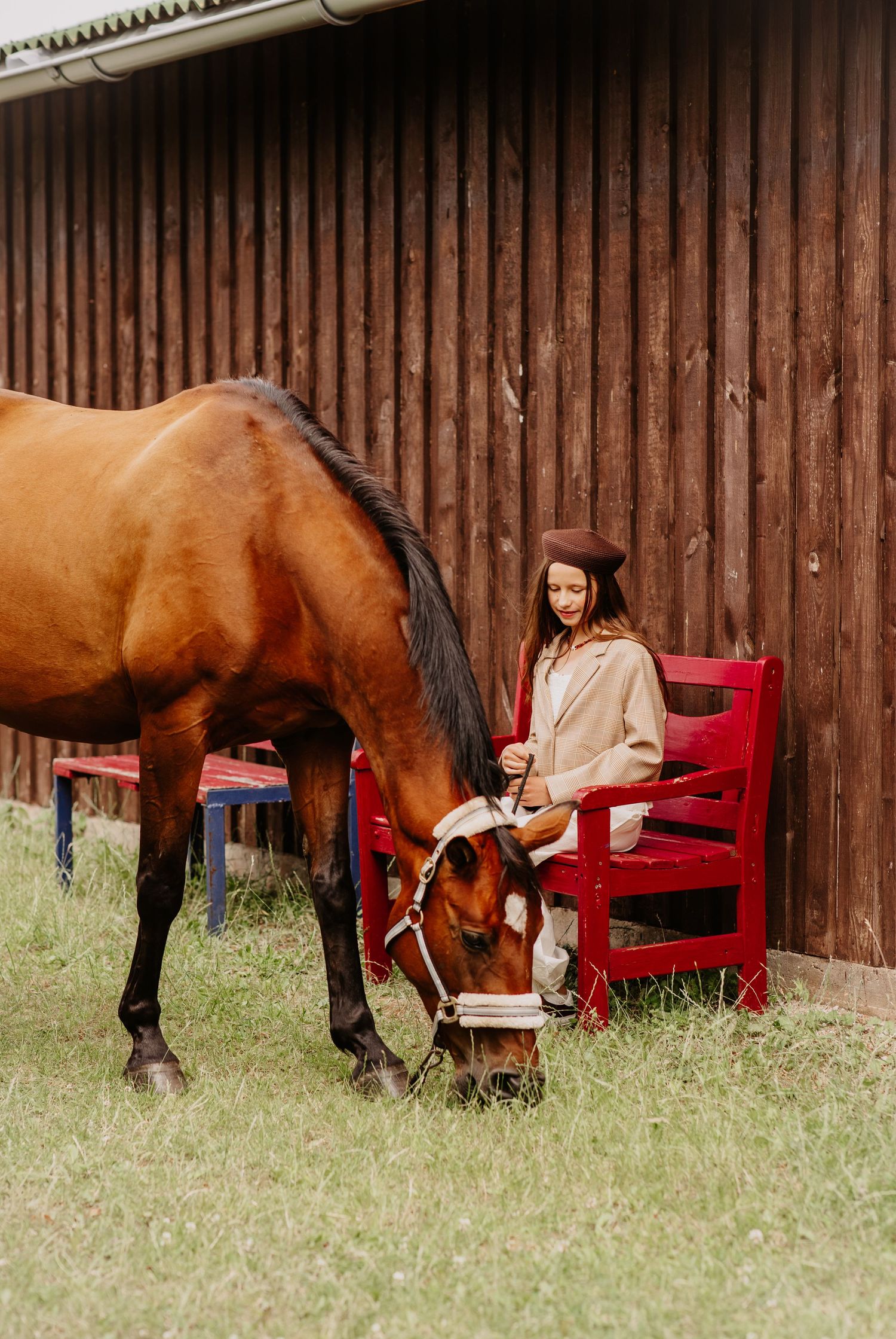 A young woman in a beret sits on a red chair beside a bay horse grazing near a wooden barn.