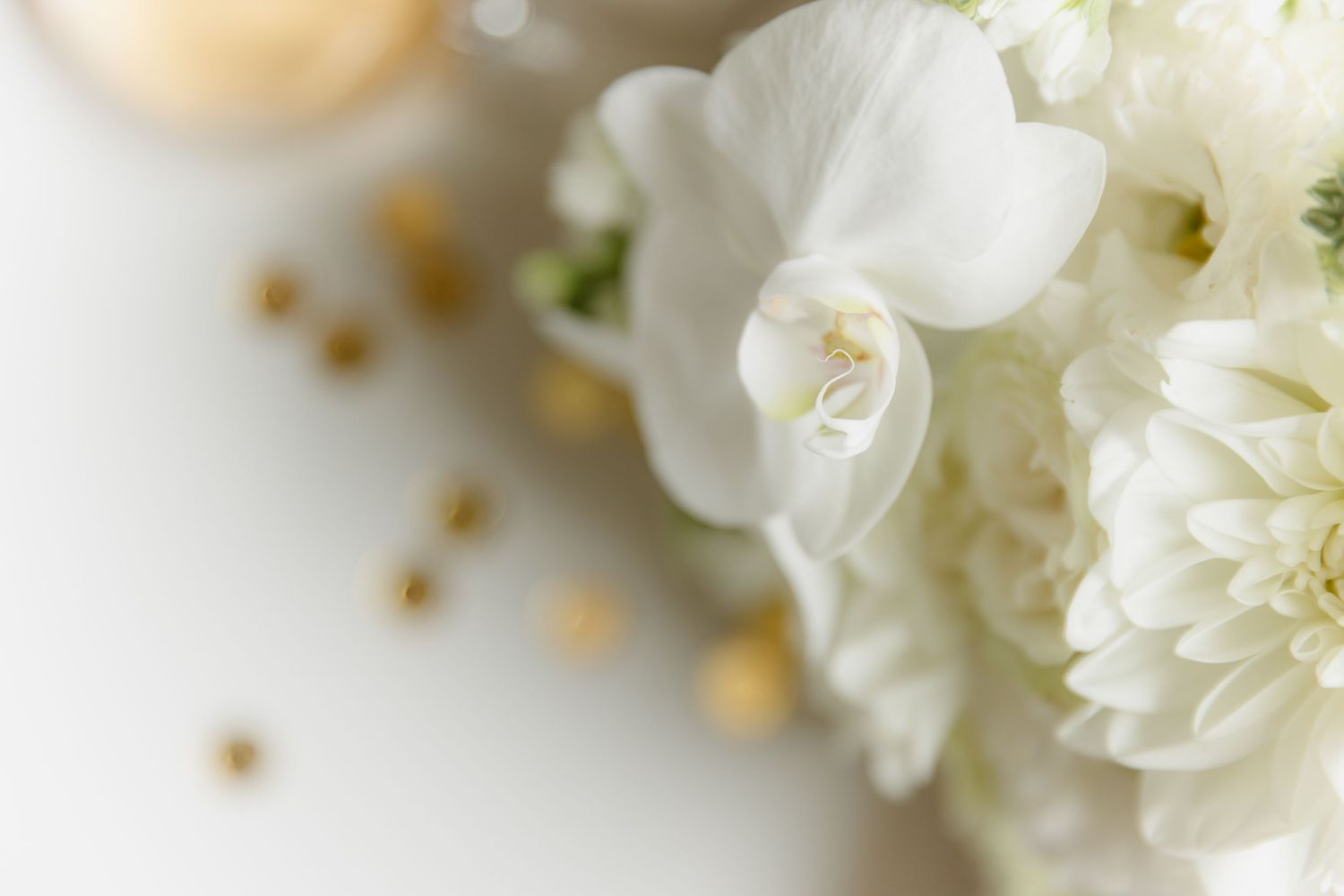 Elegant white flowers including roses and ranunculus arranged with delicate baby's breath on a soft white background.