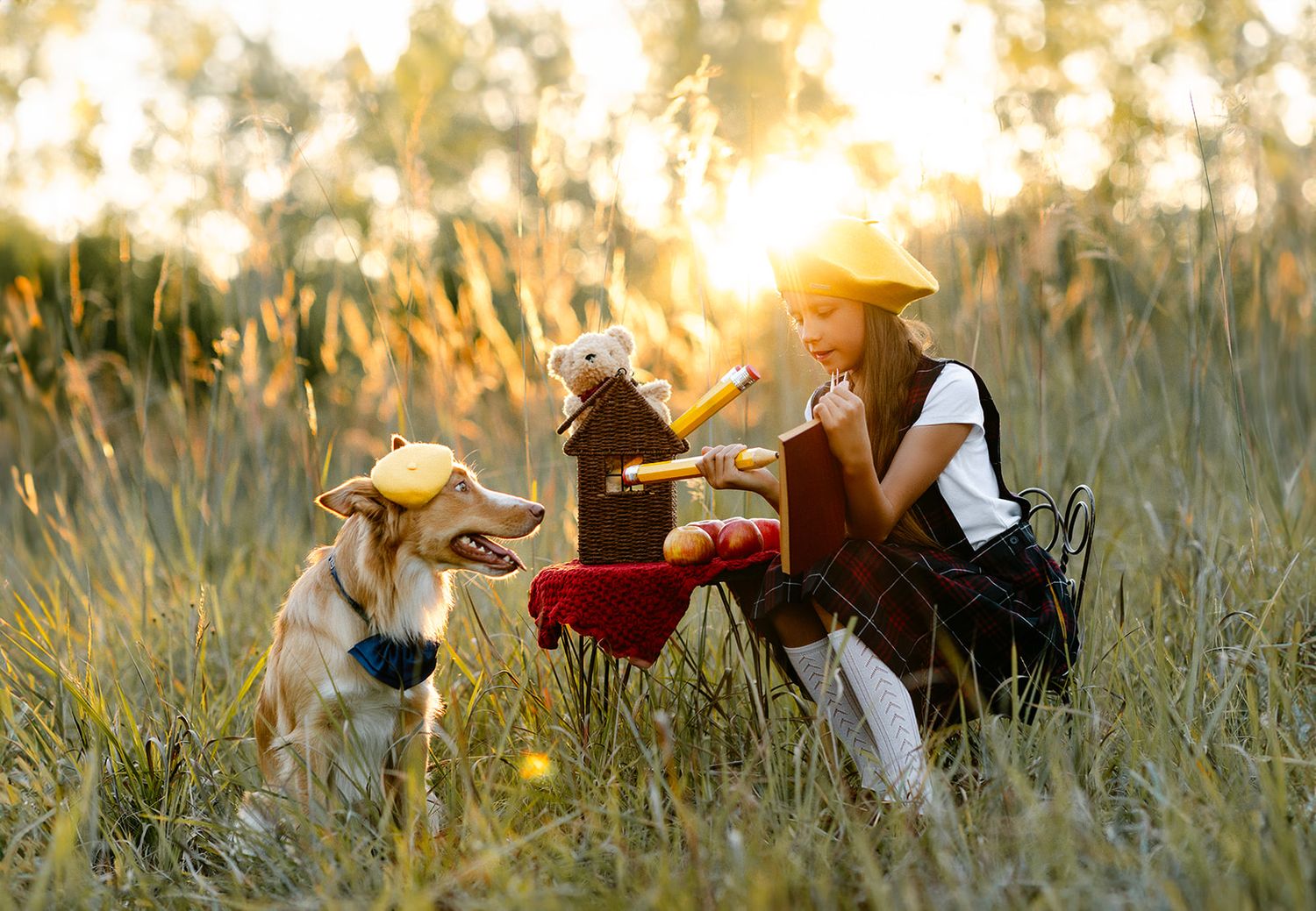 Girl in beret plays with dog and stuffed bear toy in golden sunlit meadow grass at sunset.