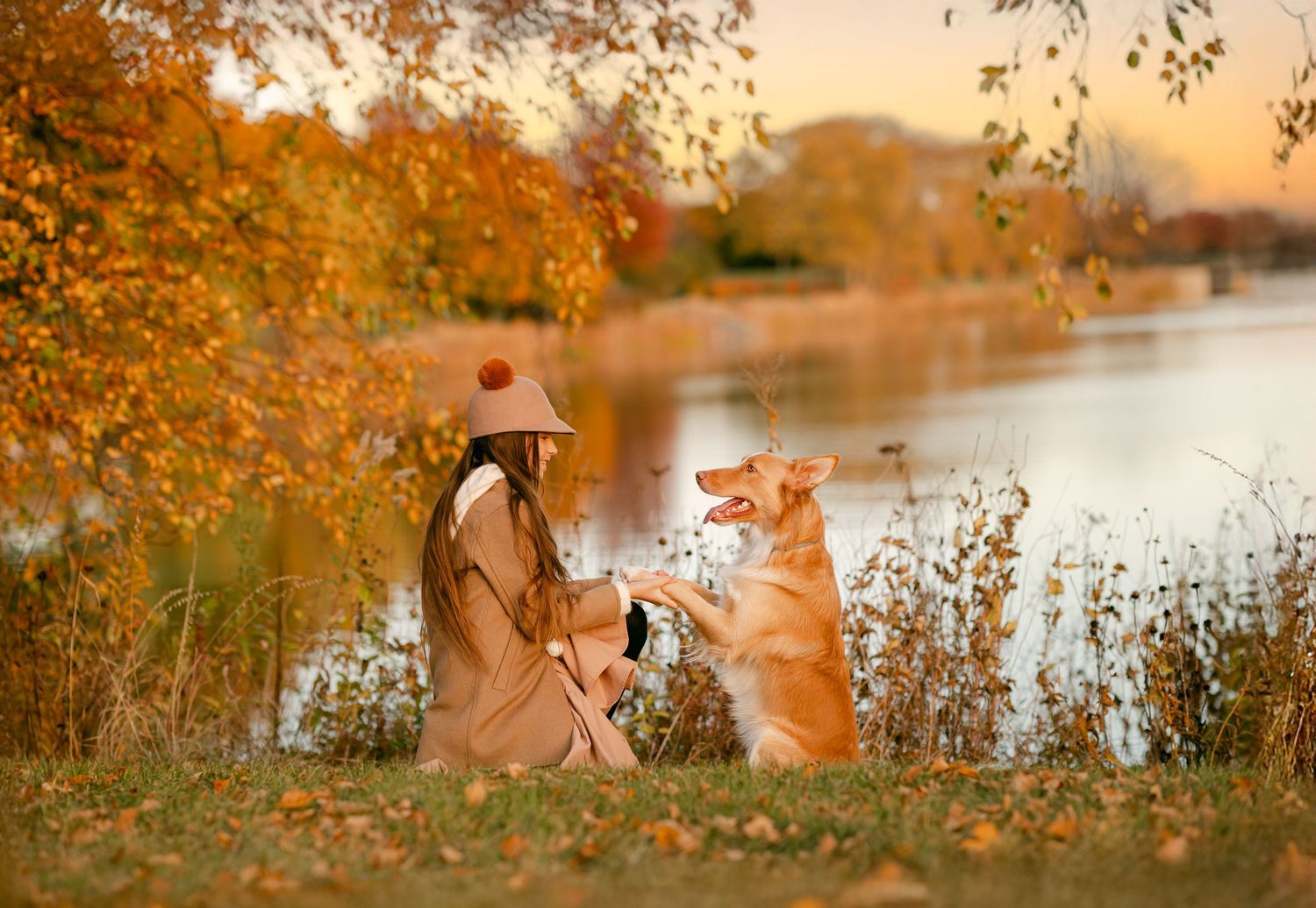 Woman in autumn coat and hat shares a moment with her Corgi dog by a golden lakeside during fall sunset.