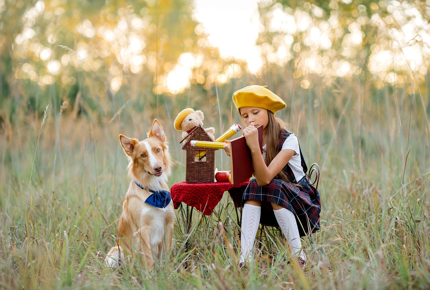 Girl in yellow beret shares a tea party with her teddy bear and brown Border Collie dog in a sunlit meadow.