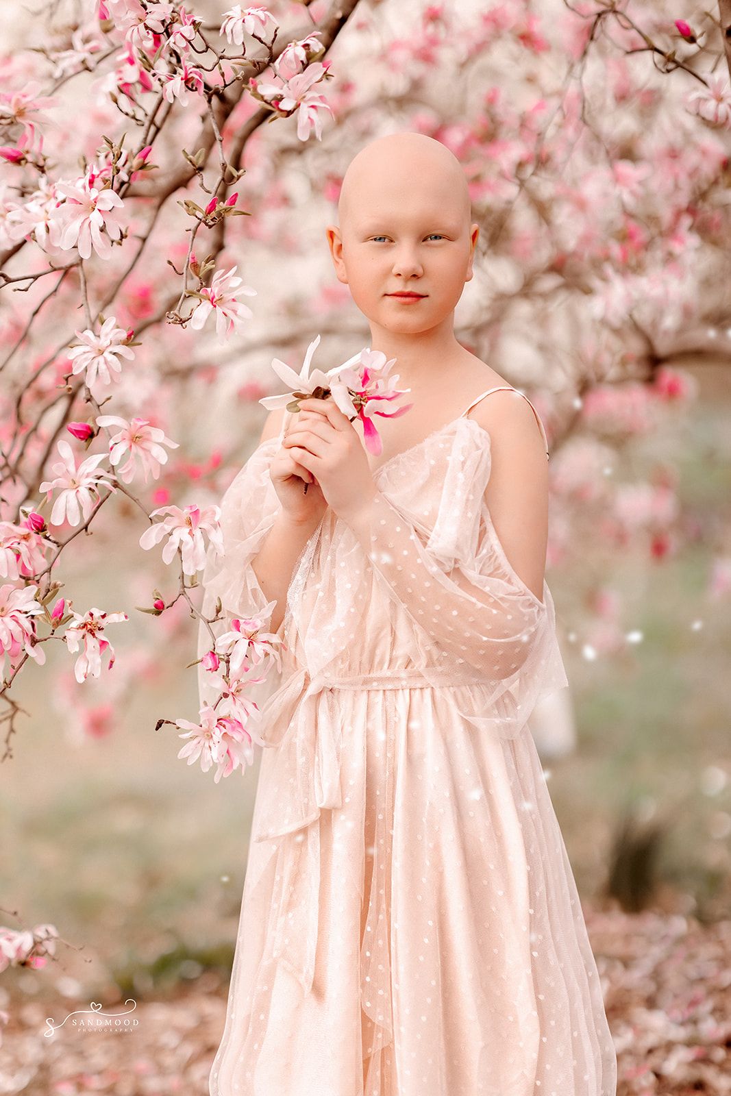 Bald girl in pink polka dot dress holds magnolia blooms under flowering pink magnolia tree.