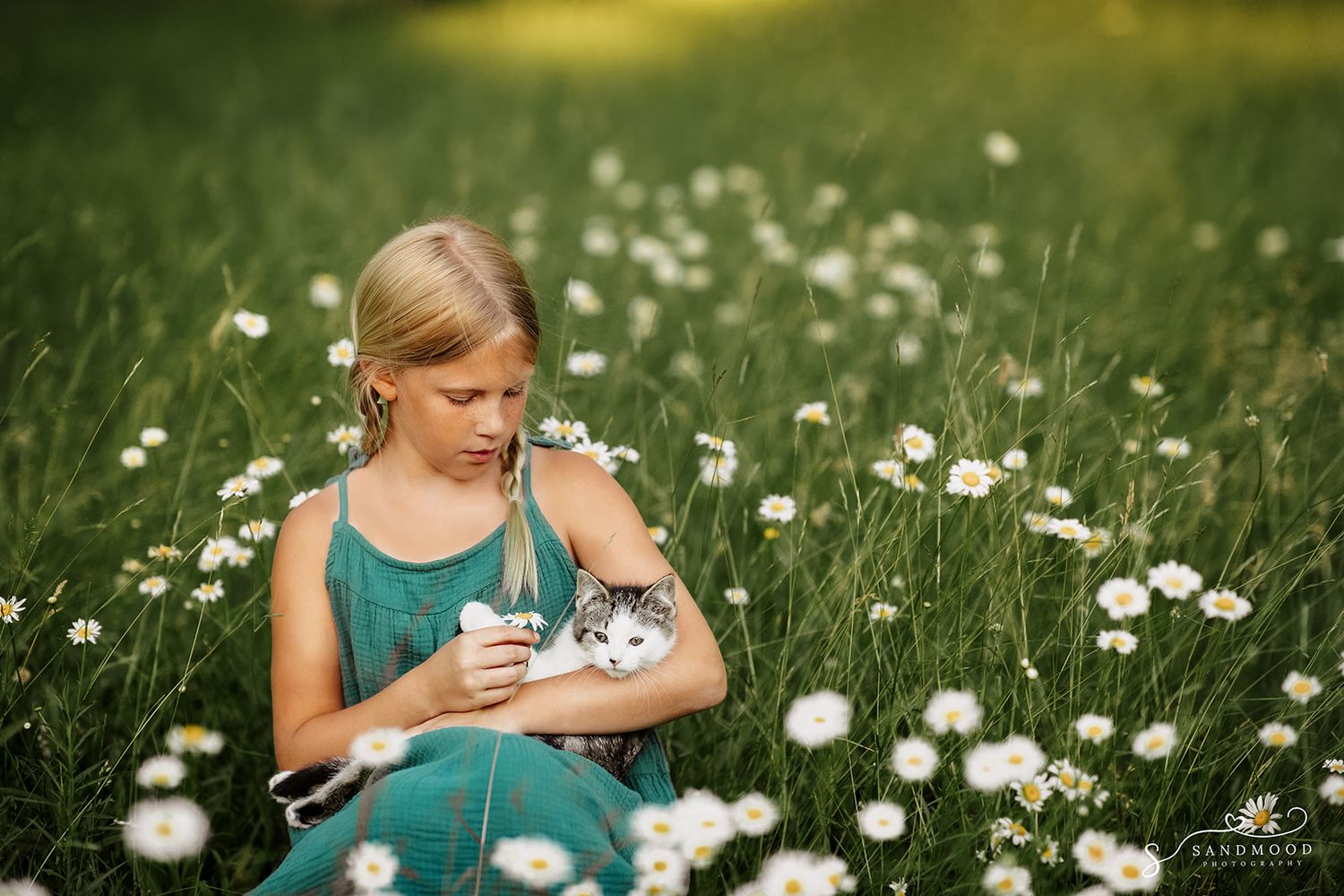 A young blonde girl in a teal dress holds a kitten in a field of white daisies on a sunny day.