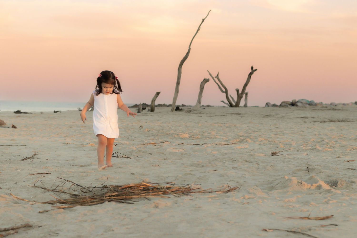 Toddler in a white dress walks barefoot on a sandy beach at sunset on Folly beach during family photos.