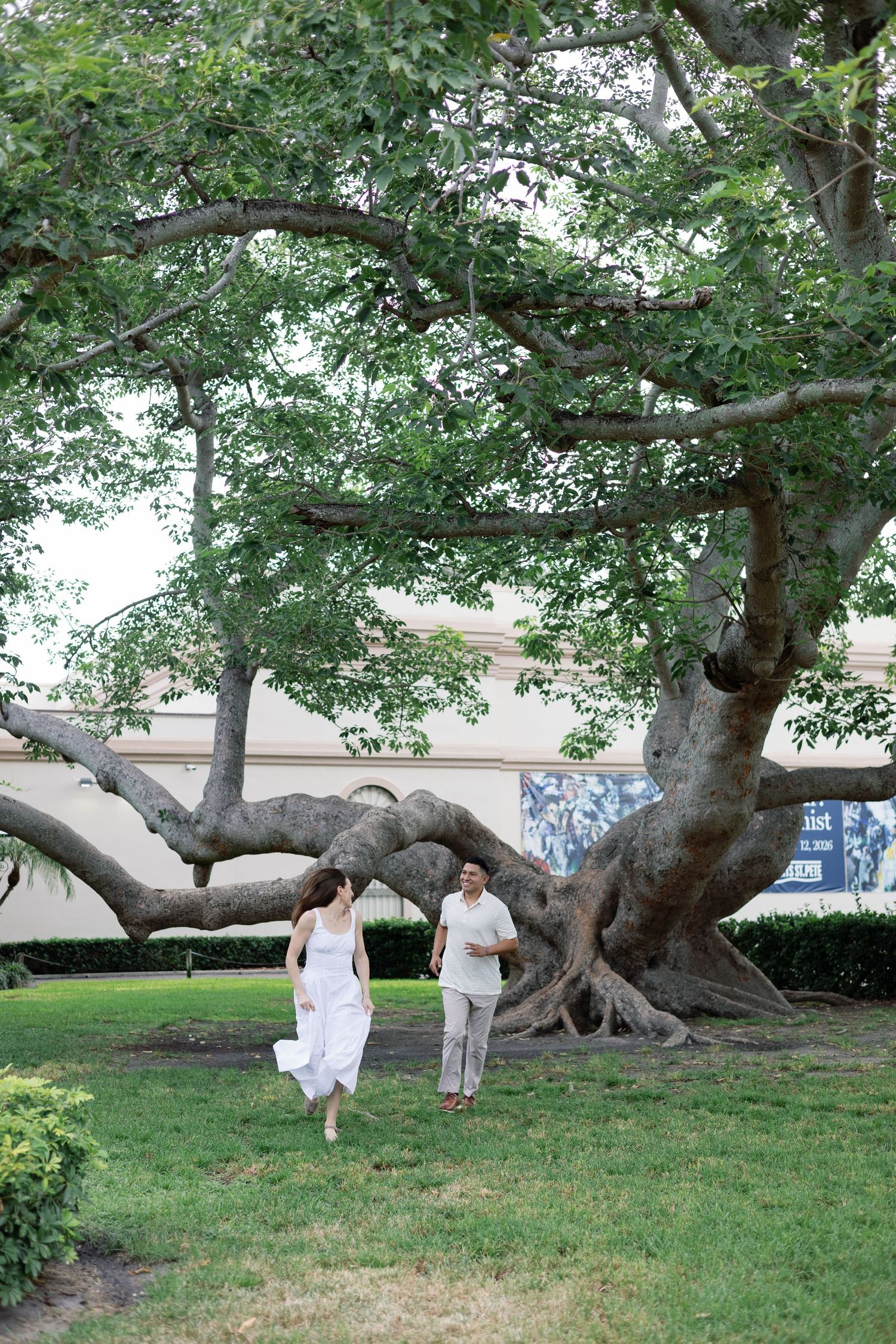 Joyful couple running hand-in-hand across green lawn beneath a large sprawling tree with wide canopy.