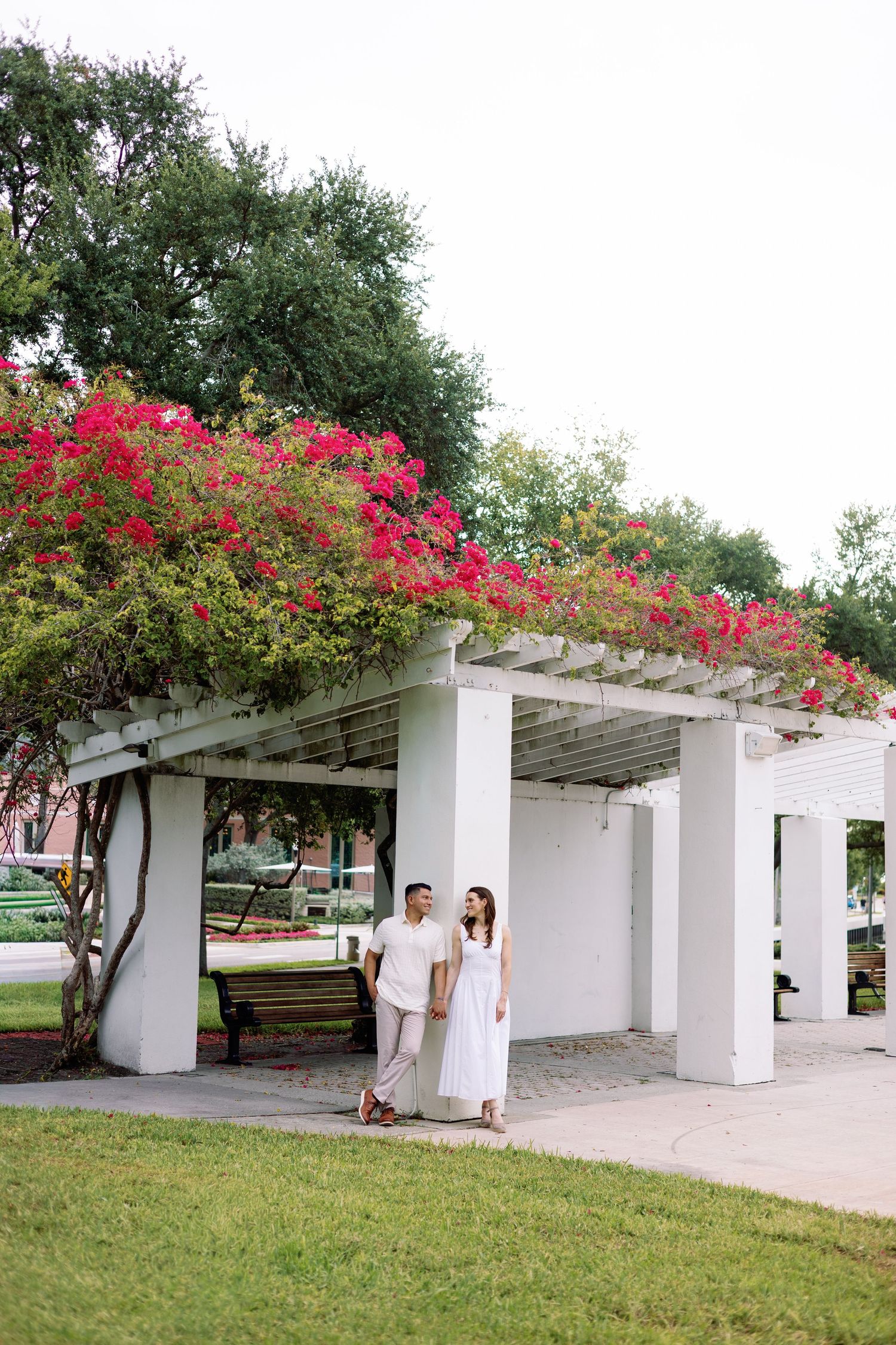 Couple strolling hand-in-hand under a white pergola adorned with vibrant red bougainvillea blooms in park.